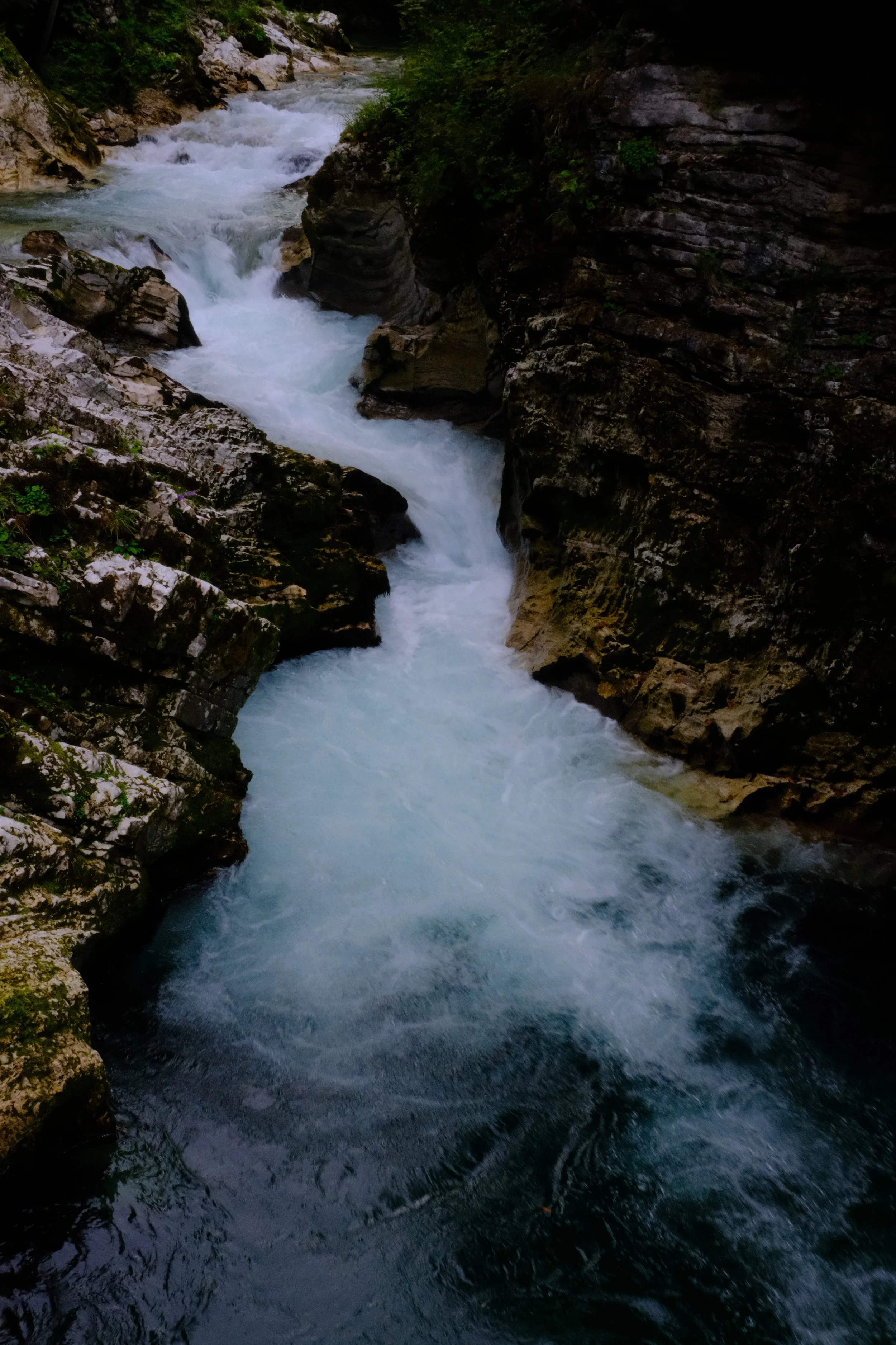 DSCF5500.JPG