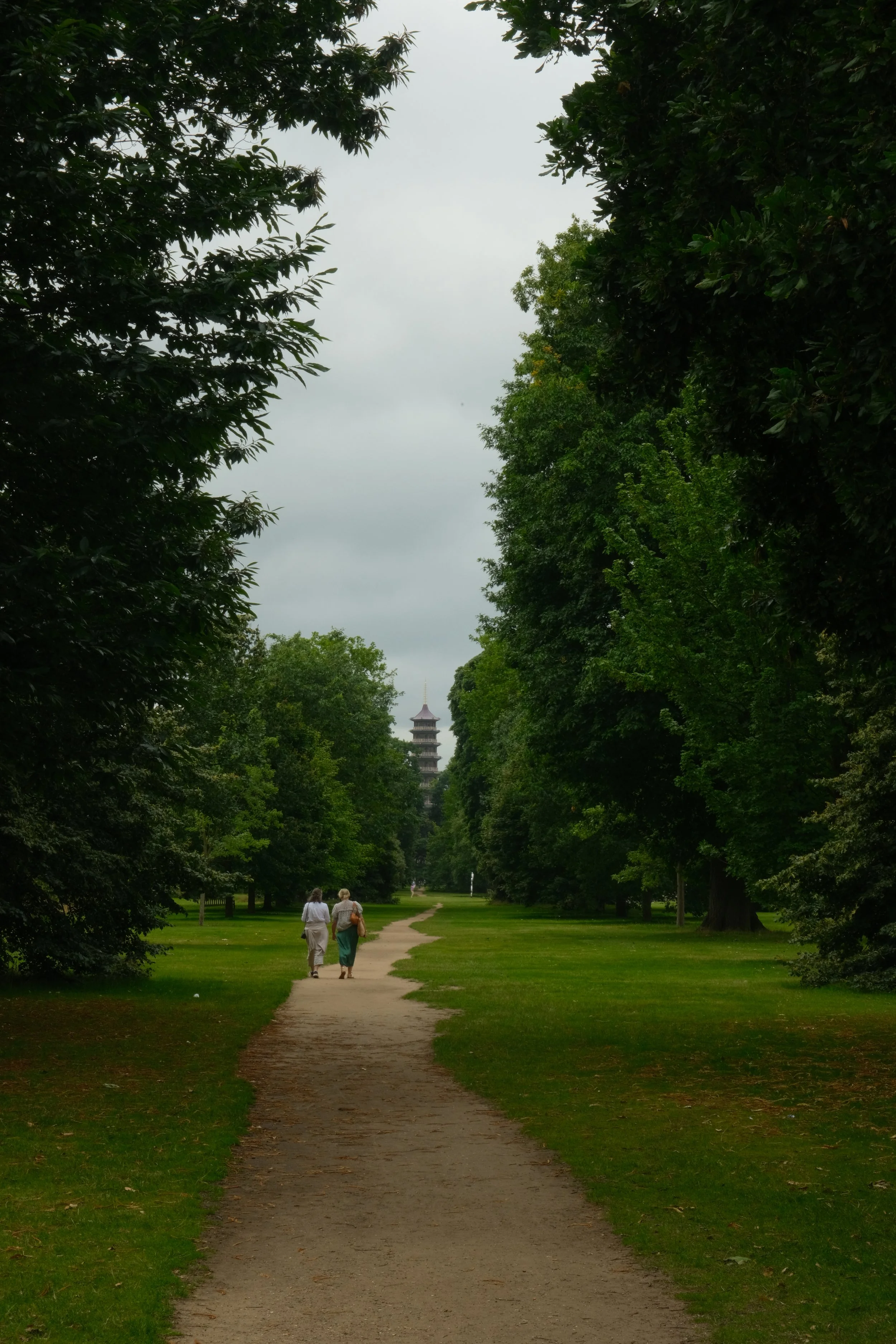 DSCF4587 3.JPG