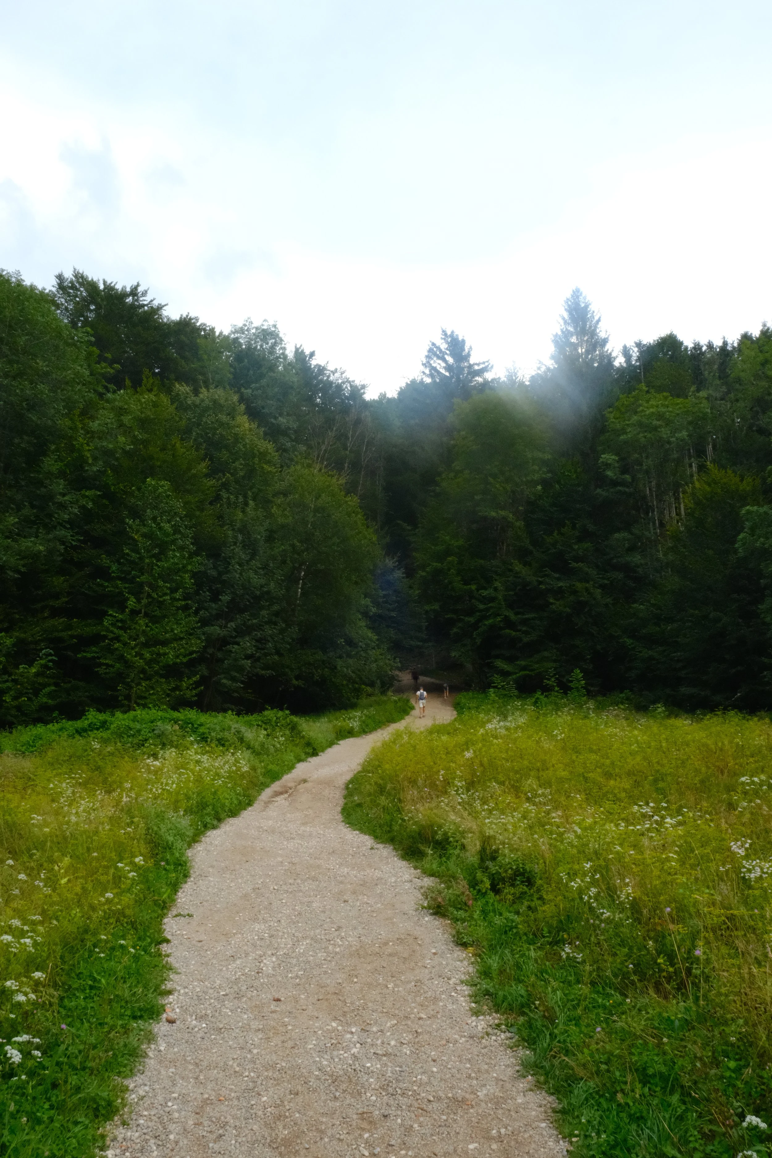 DSCF5579.JPG