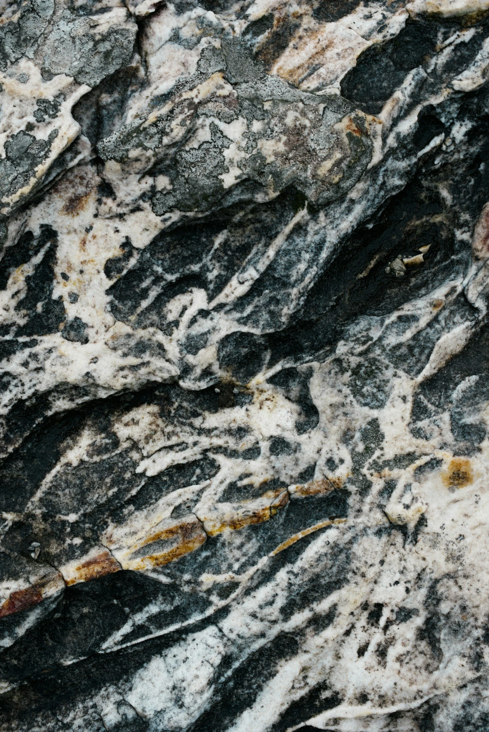 unsplash-image-30OJcCJGnyw.jpg