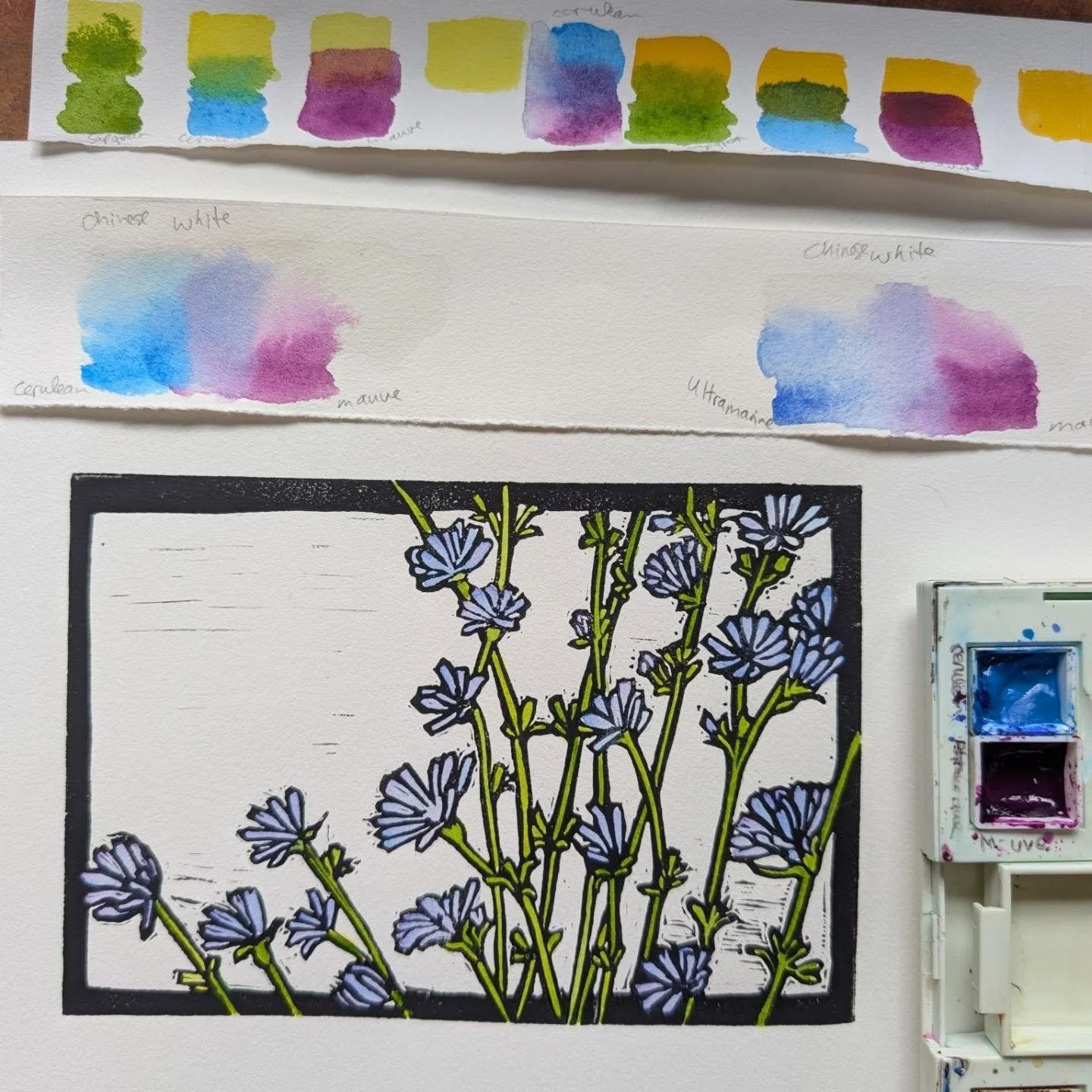 Coming soon to @longrivergallery and @collectivevt , the latest in my Vermont wildflowers series, Chicory! I love seeing it along the road on my walks. The color reminds me of the "Cornflower Blue" Crayola crayon so much that for years I wa