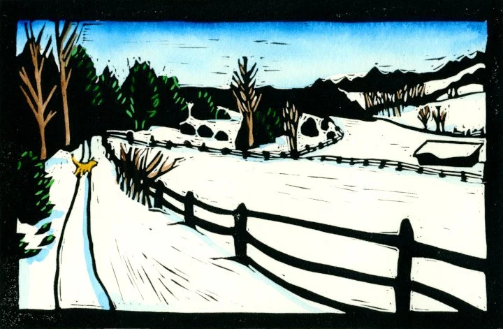 Winter Fences