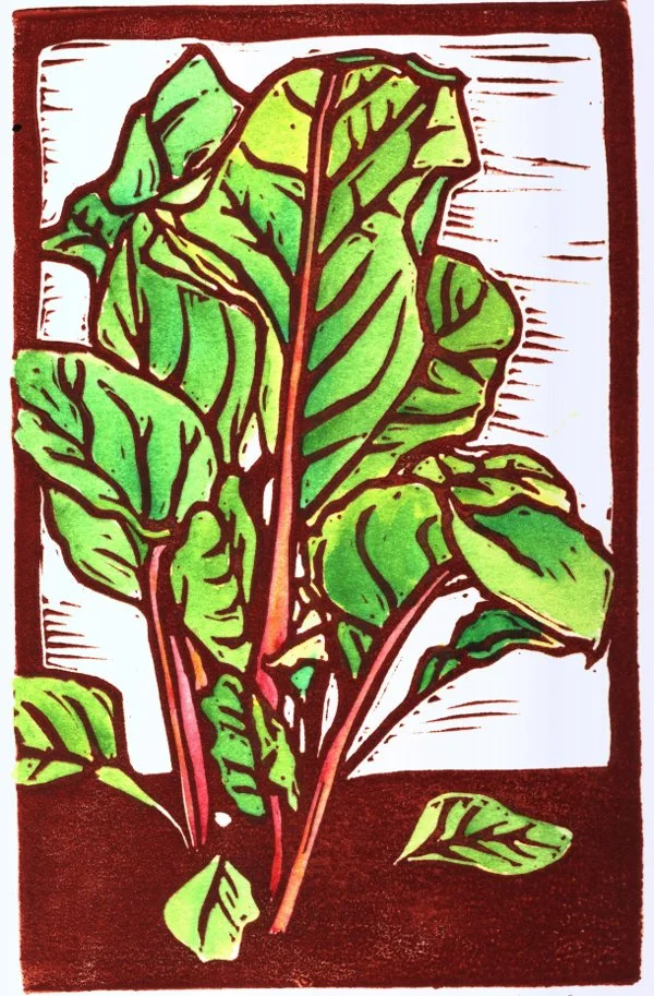 Swiss Chard