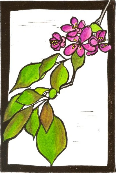 Red Flowers on Branch