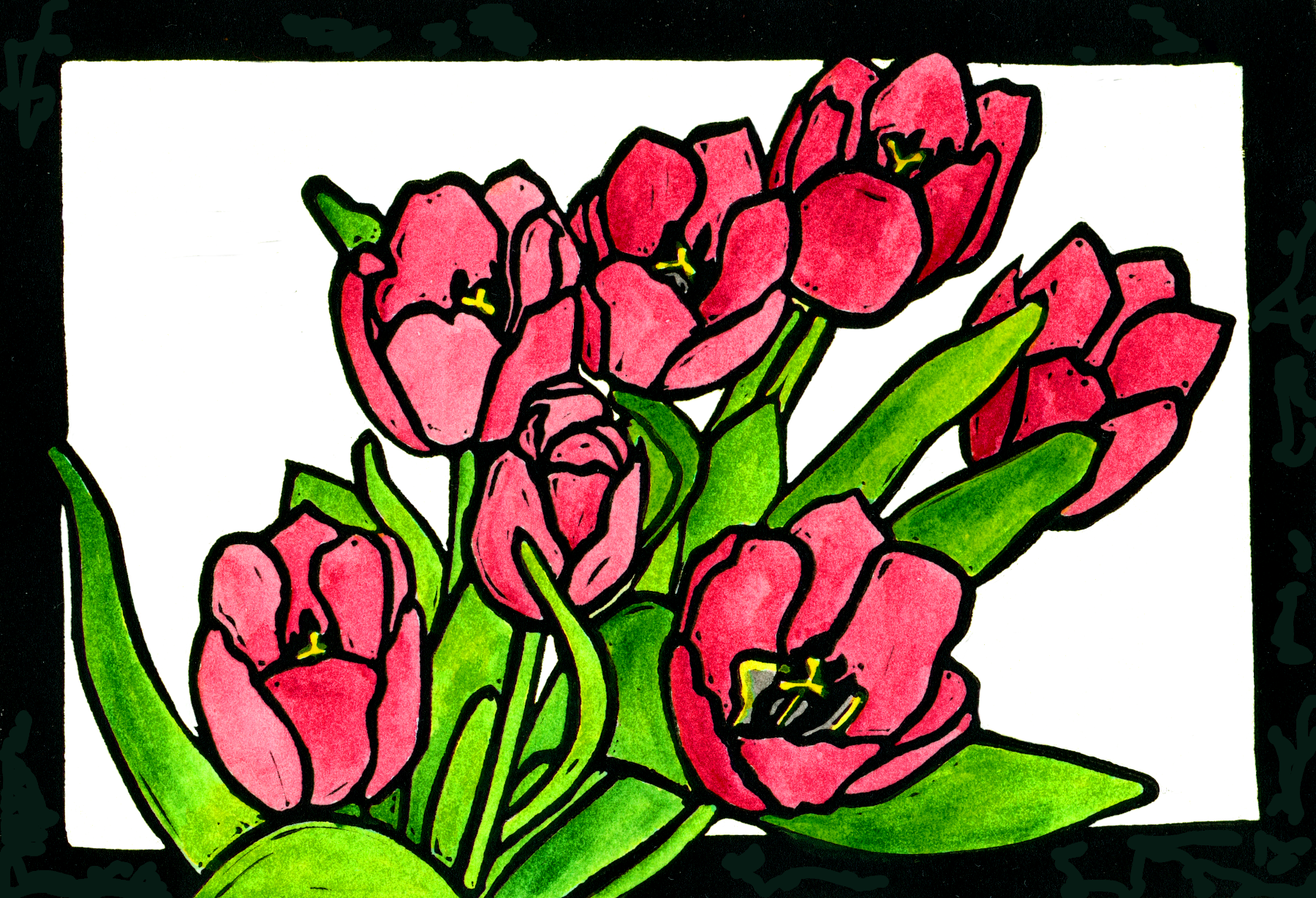Tulips