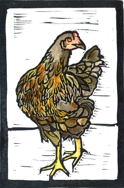 Chicken