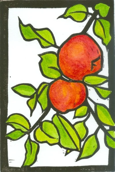 Apples on Branch