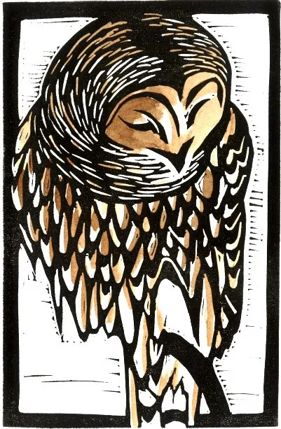Owl