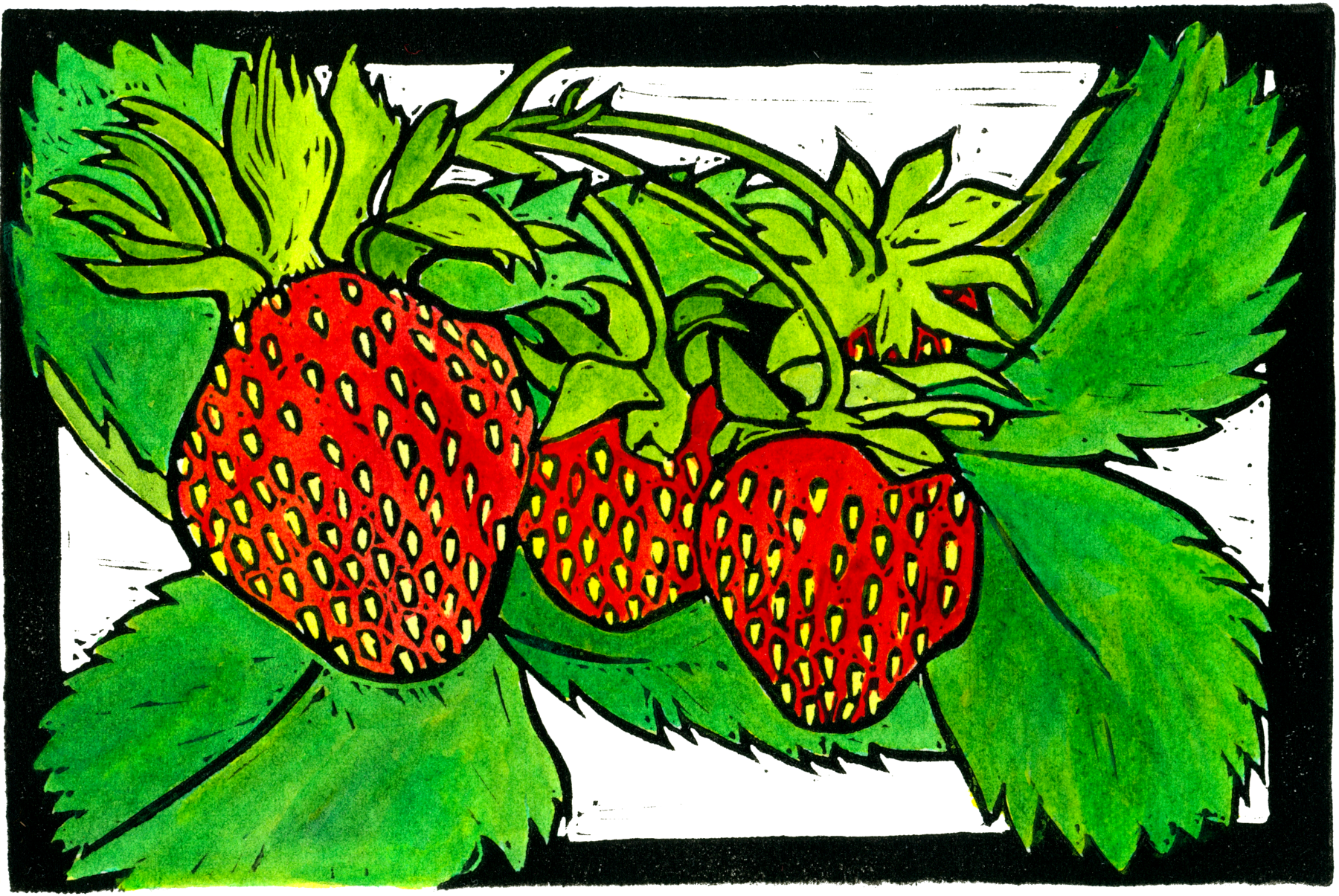 Strawberries