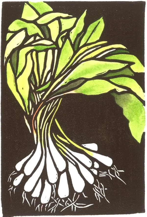 Wild Leeks