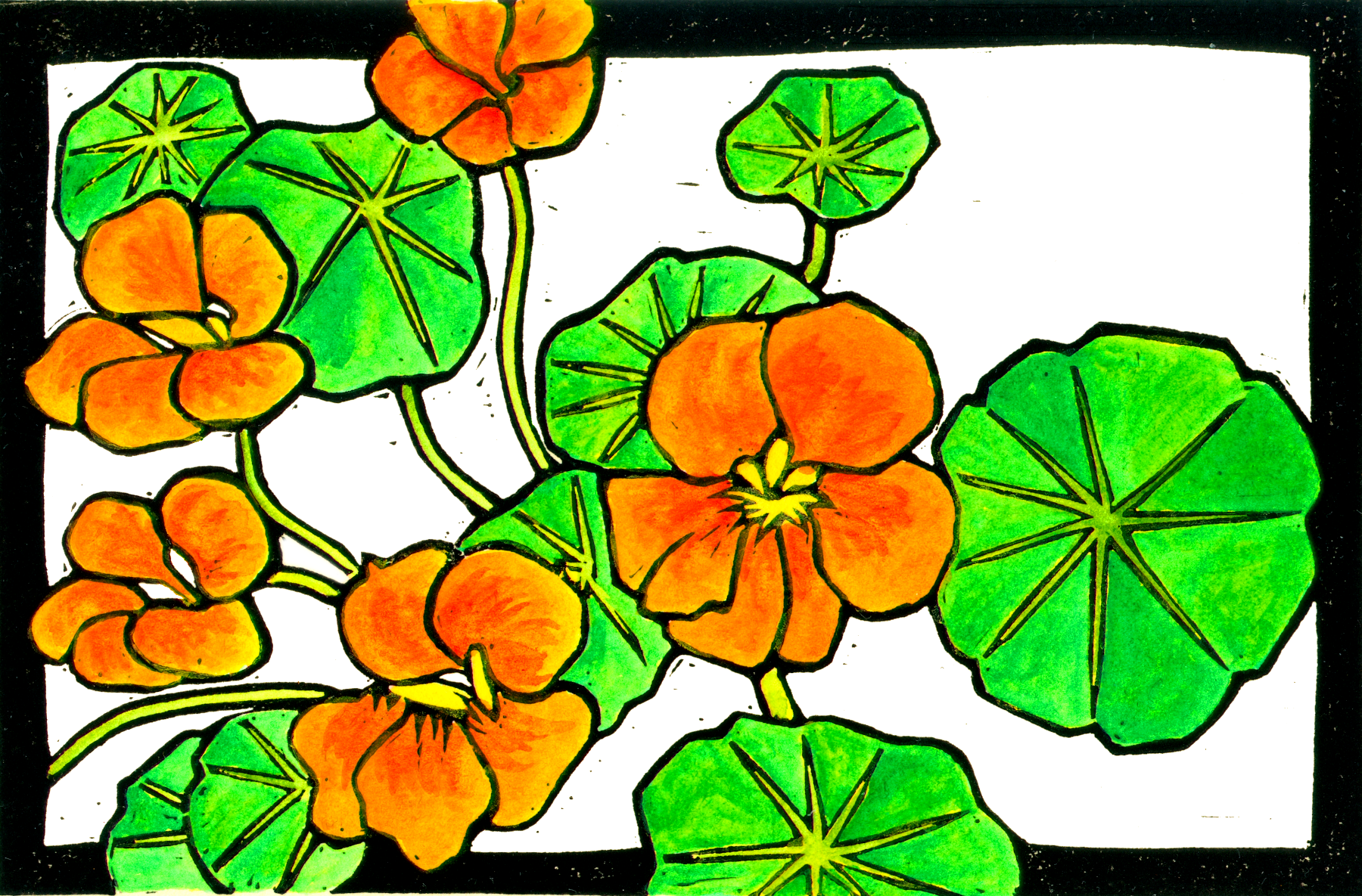 Nasturtiums