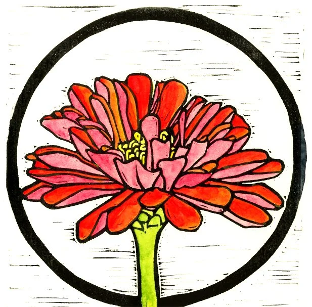 Zinnia