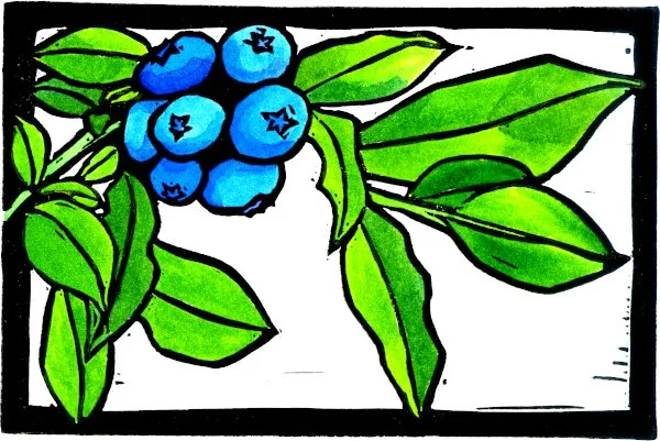 Blueberries