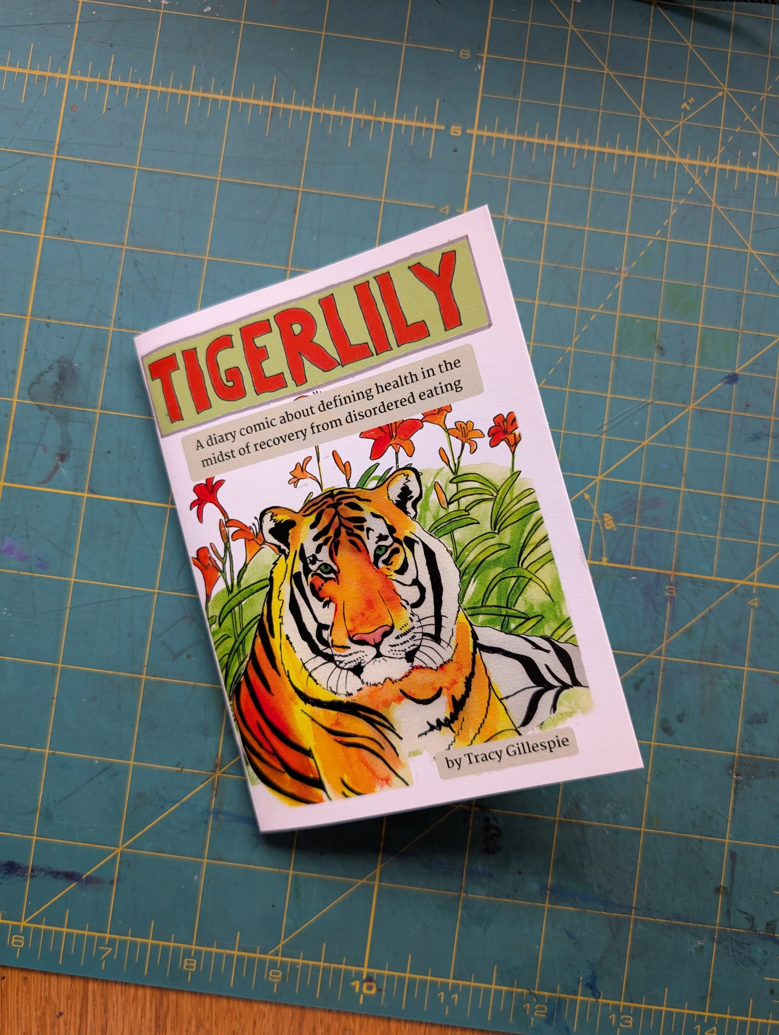 Tigerlily: a diary comic about defining health in the midst of recovery from disordered eating