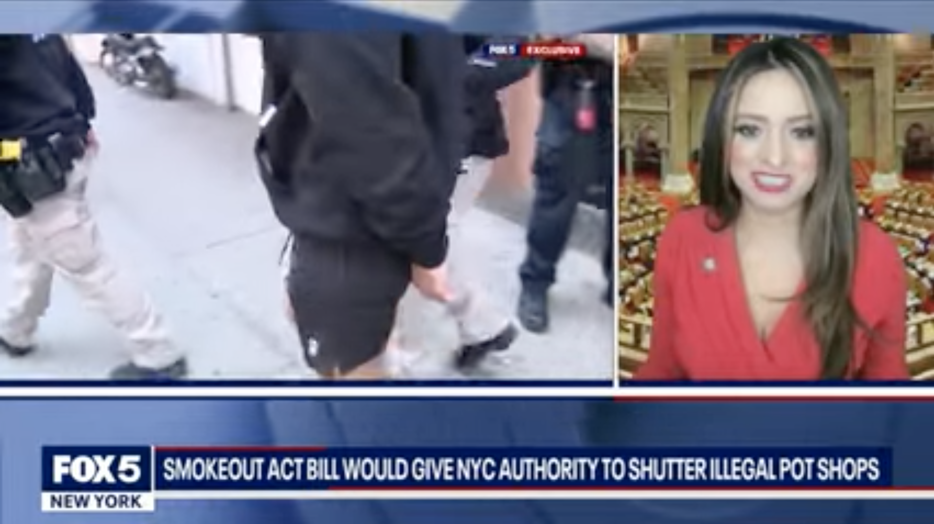 Fox 5 New York: New York Assemblywoman Takes On Illegal Weed Shops
