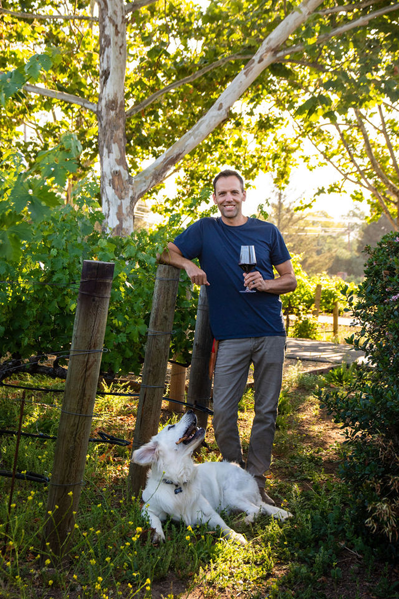 A man stands in a lush garden holding a glass of red wine and a leash for a white dog sitting on the ground. The garden has a large tree with green leaves and a fence made of wooden posts, with yellow flowers in the foreground.