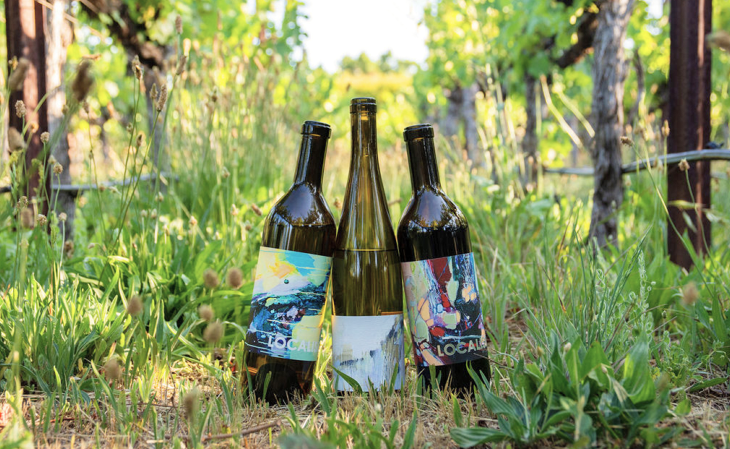 Three wine bottles with colorful, artistic labels are standing upright in a grassy field surrounded by trees, illuminated by sunlight.