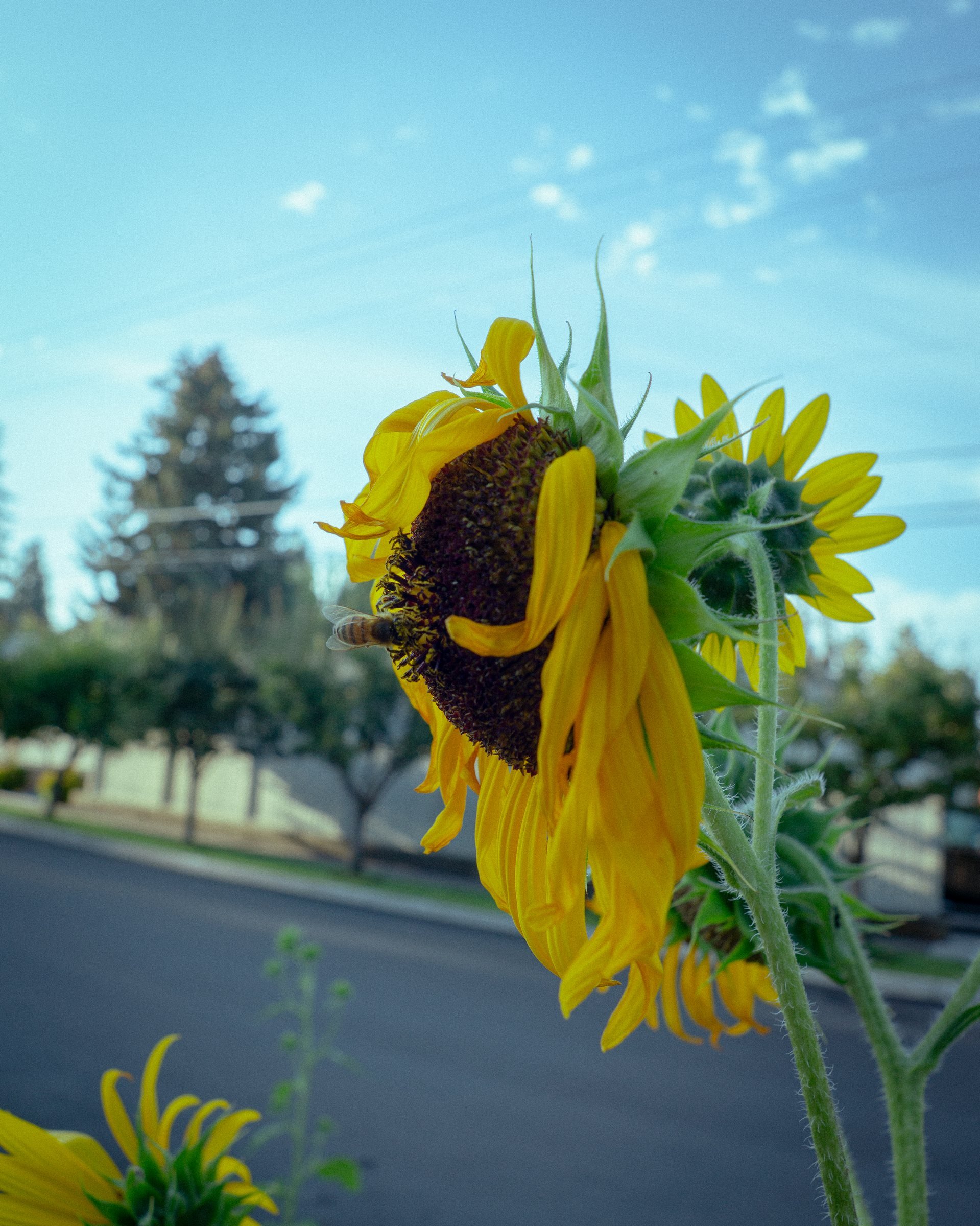 08_Bend-5.jpg
