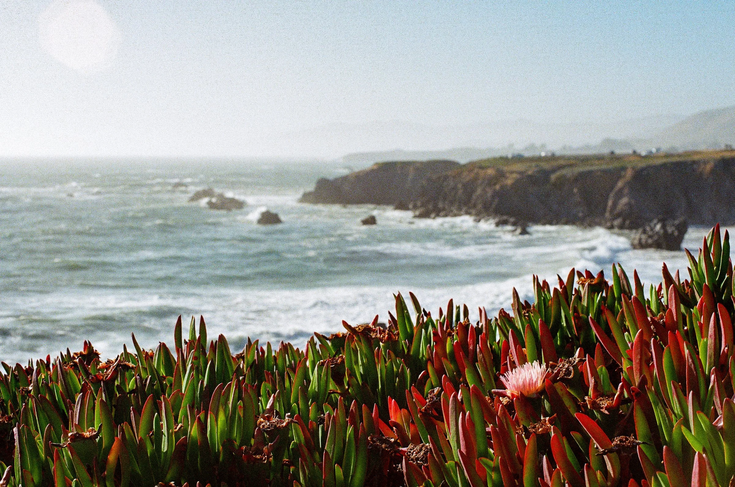 05_Scan-08.jpg