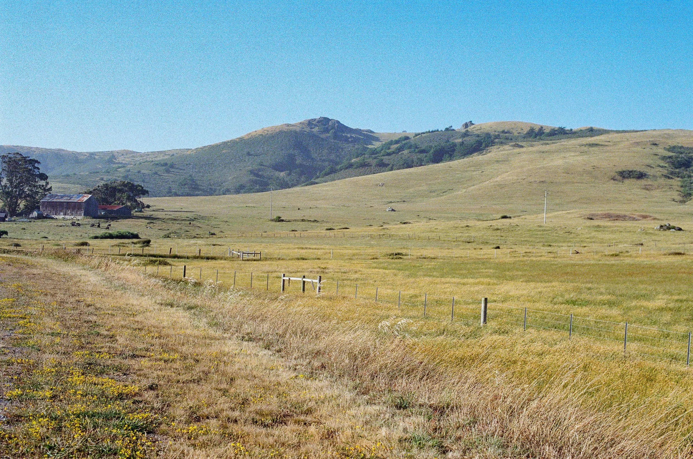 11_Scan-09.jpg