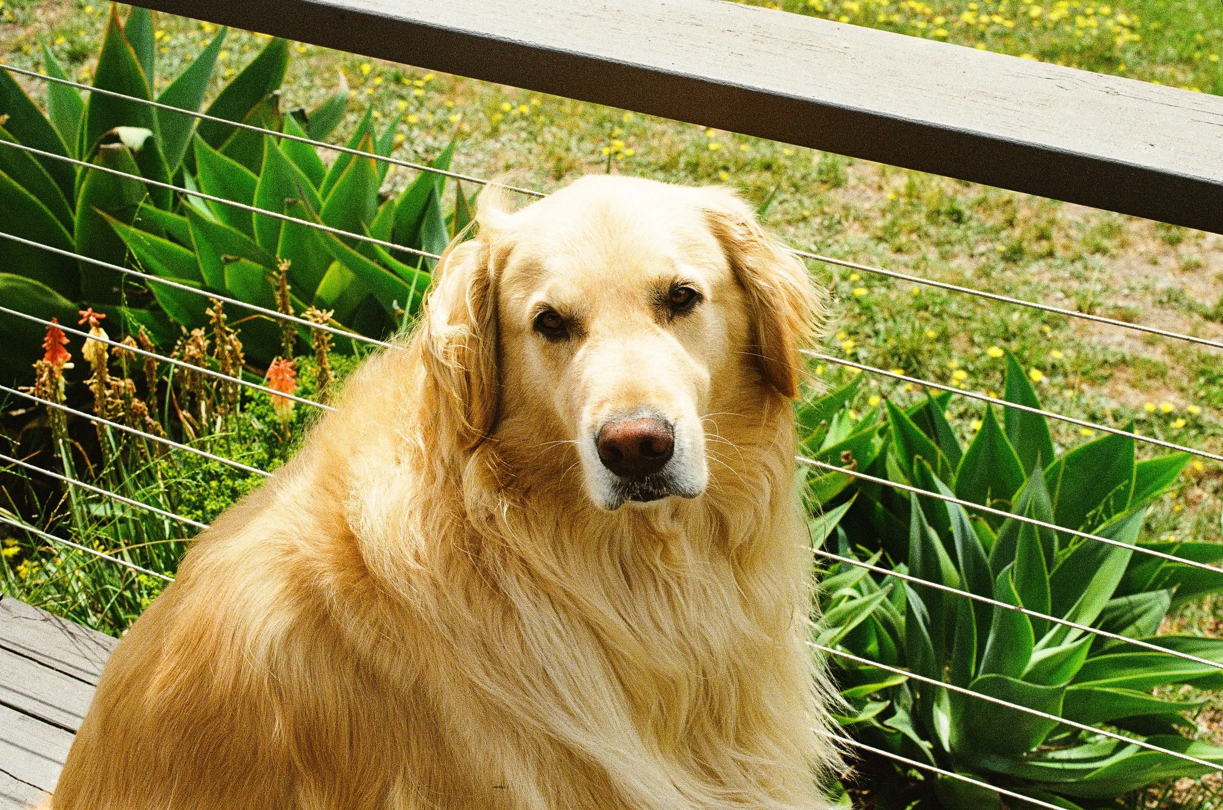 09_Scan-04-2.jpg