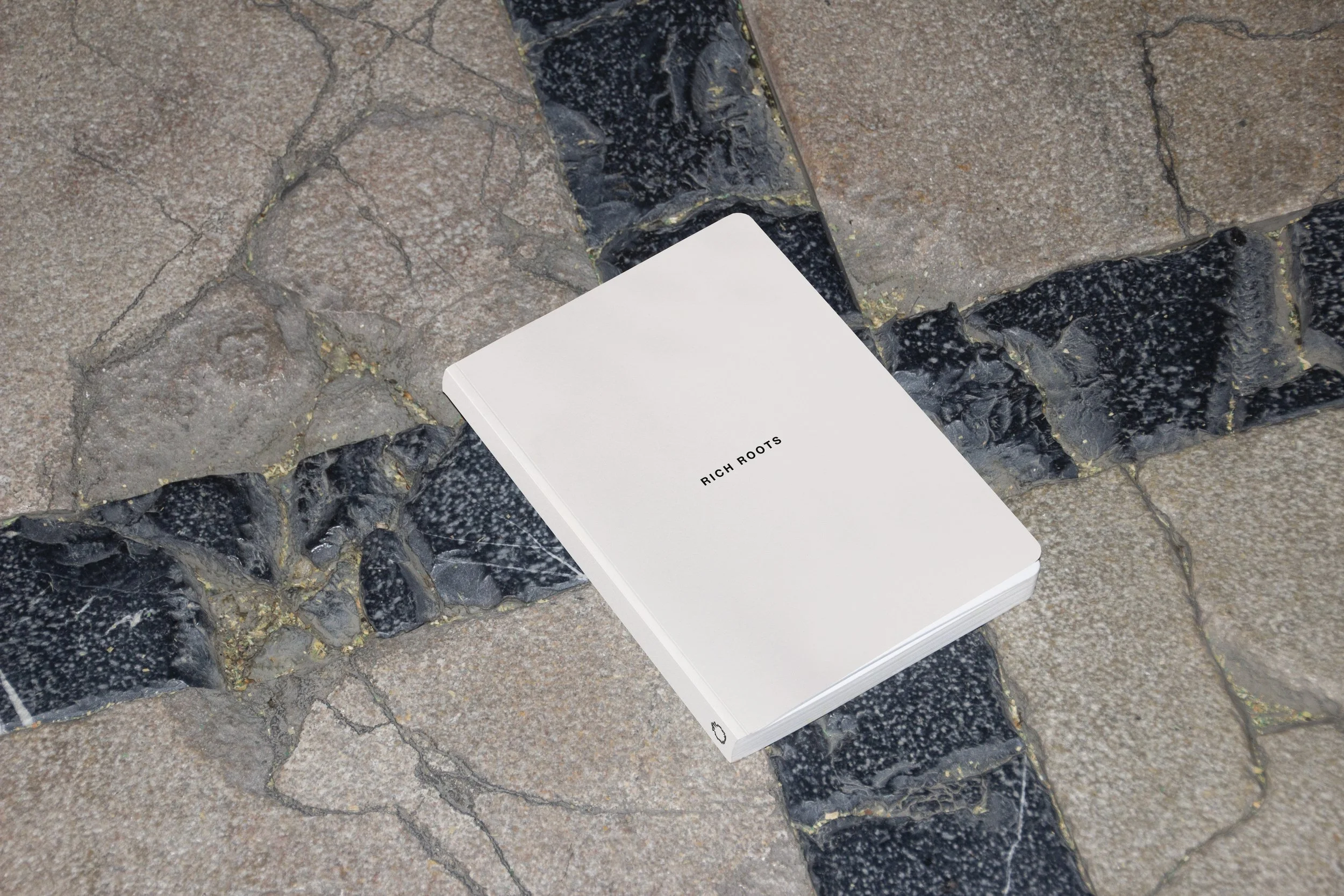 A white book titled 'Rich Roots' lying on a pavement with black and gray stones.