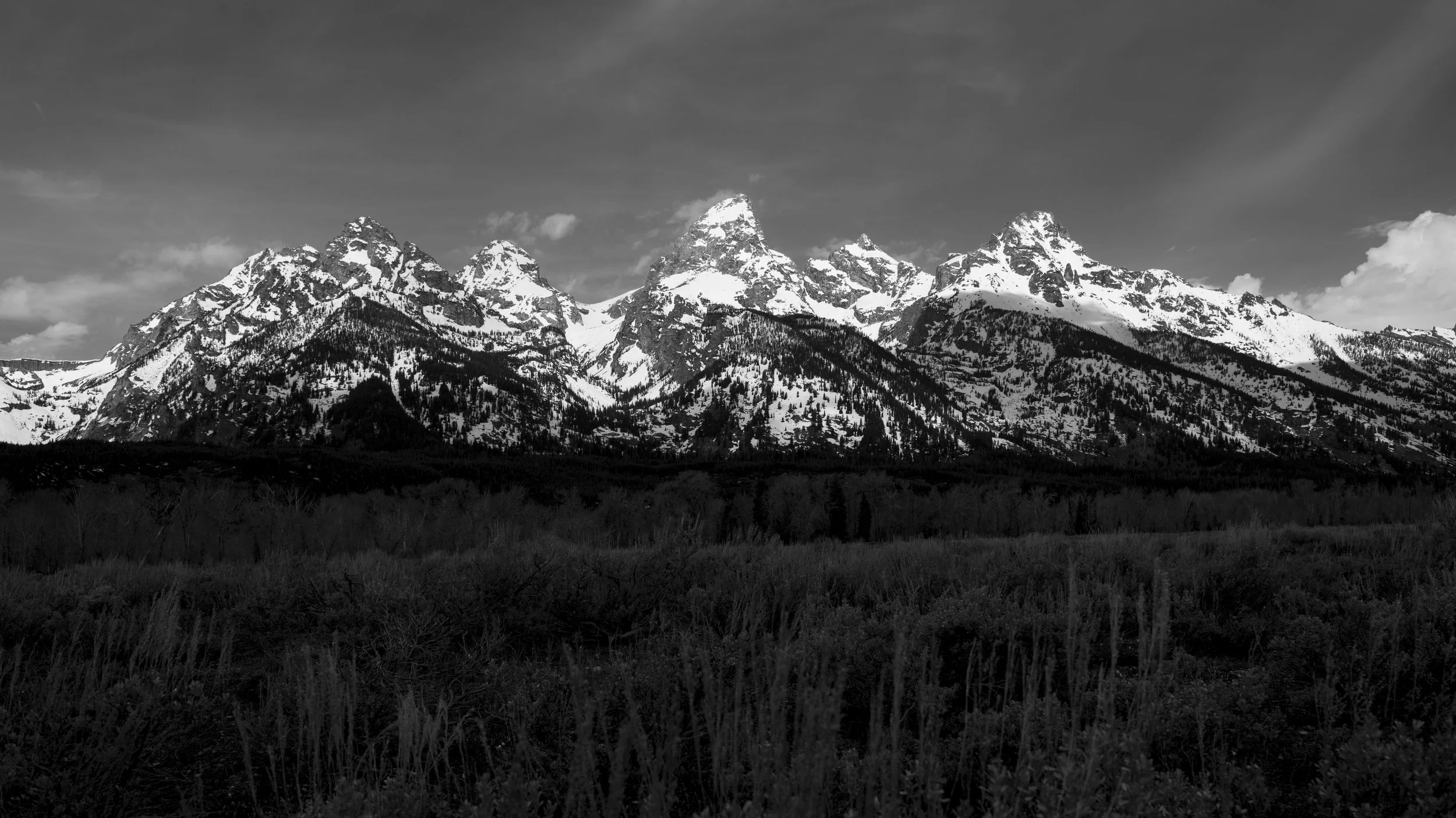 _DSC1485.jpg