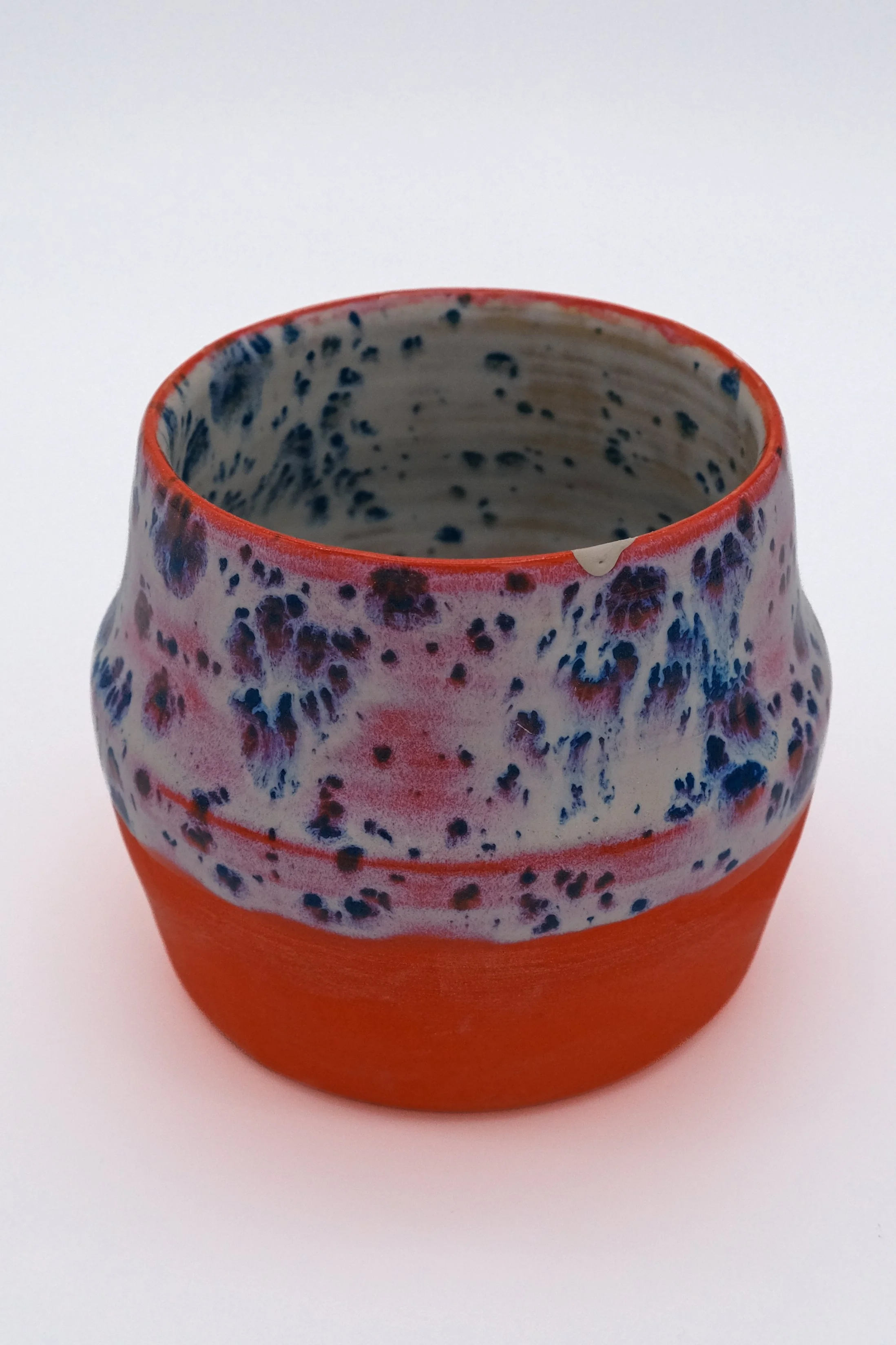 Psychadelic Dalmation Succulent Pot-5.jpg