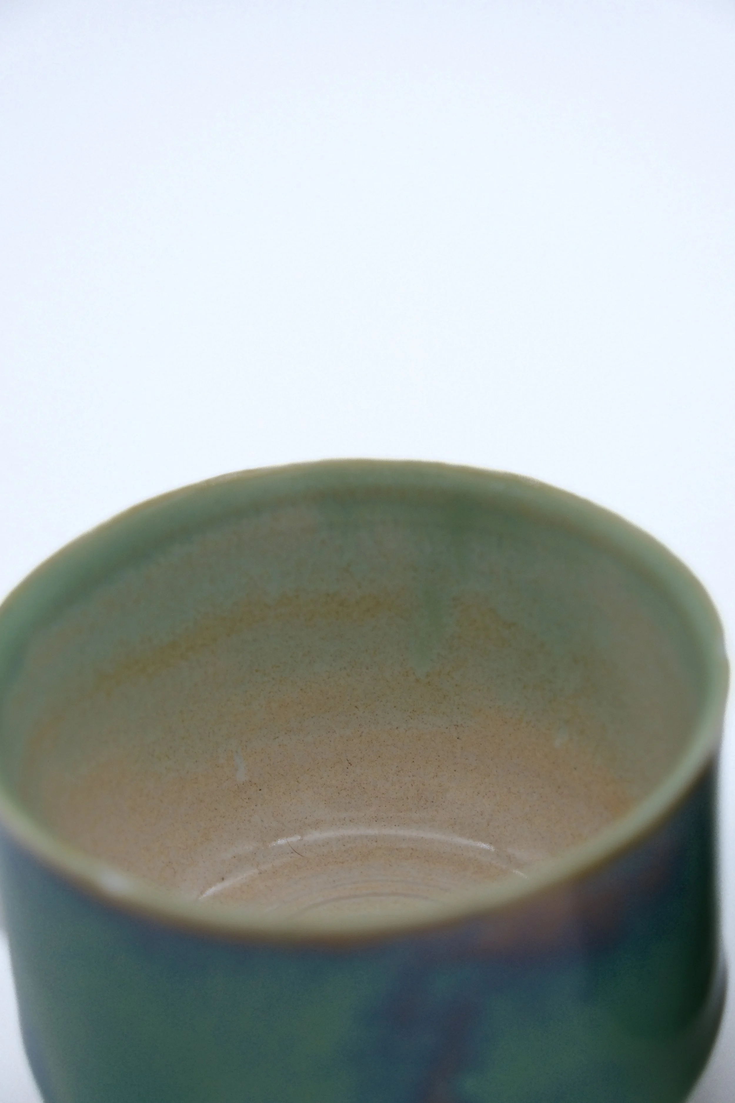 Beetlewing Teacup-1.jpg