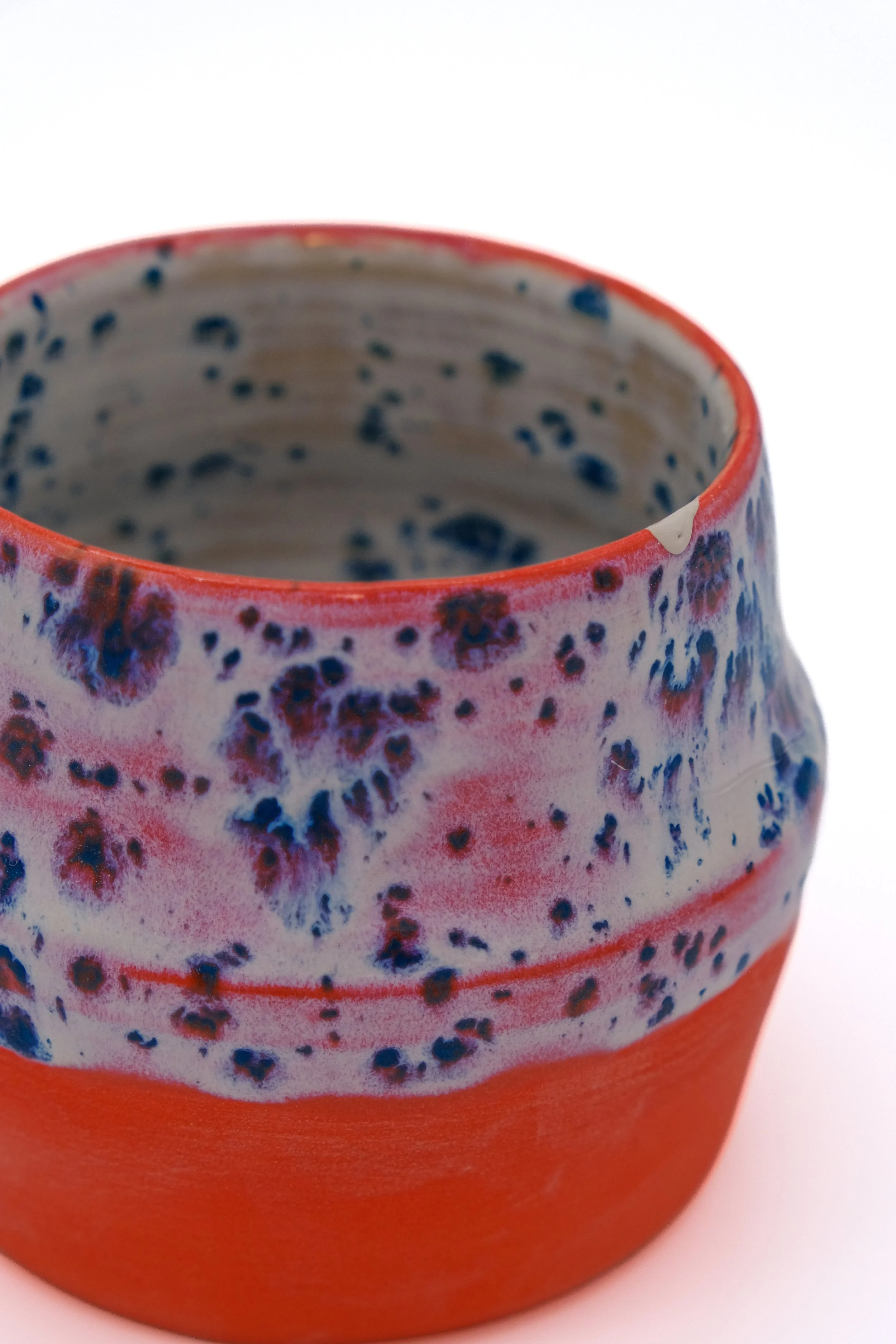 Psychadelic Dalmation Succulent Pot-2.jpg