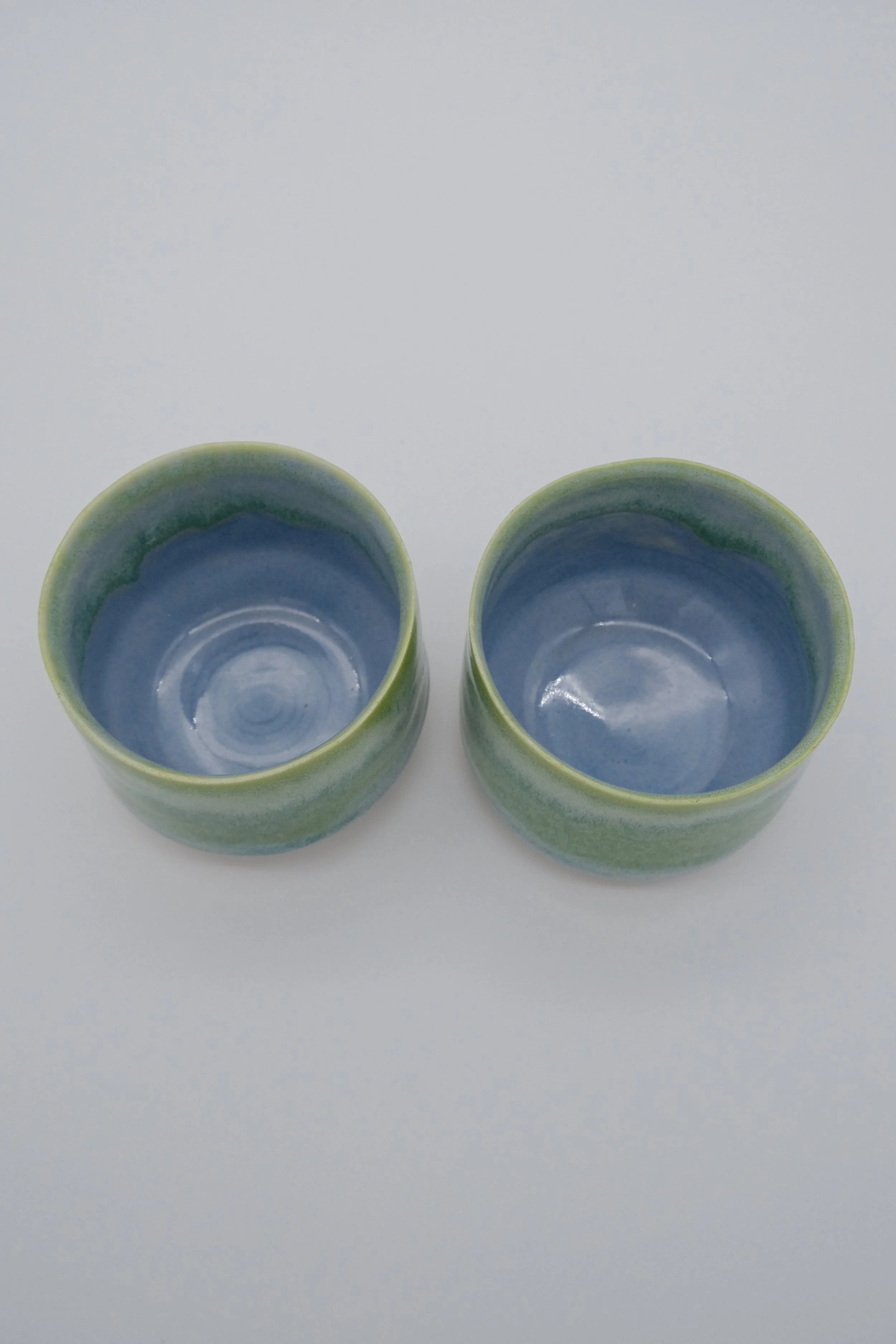 Glacial Cactus Teacup-4.jpg
