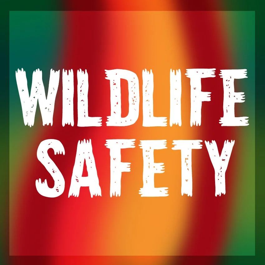 Fall Wildlife Safety Meeting