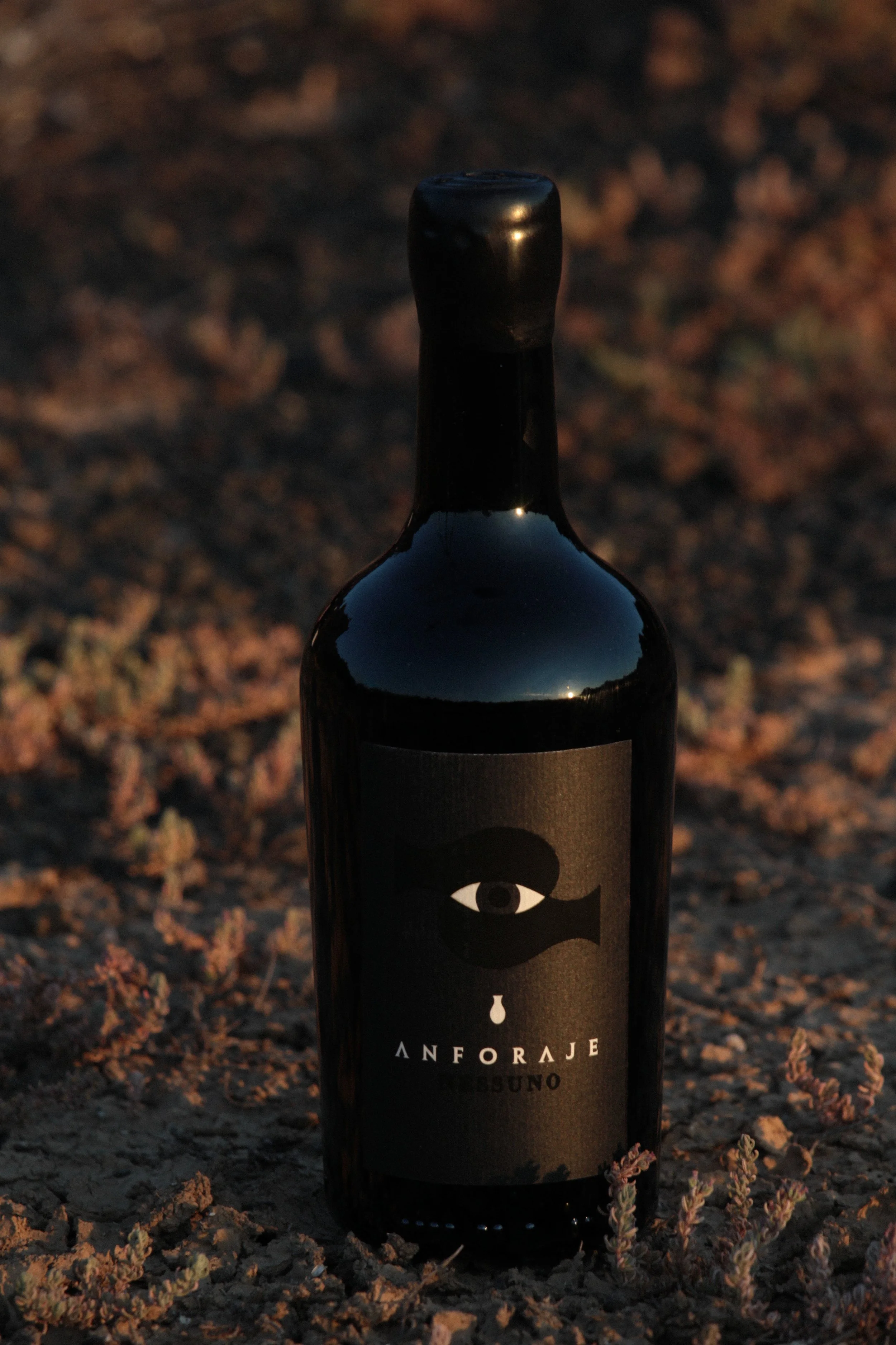 A black wine bottle on rocky ground with a label featuring an eye design, shown in a dimly lit setting.