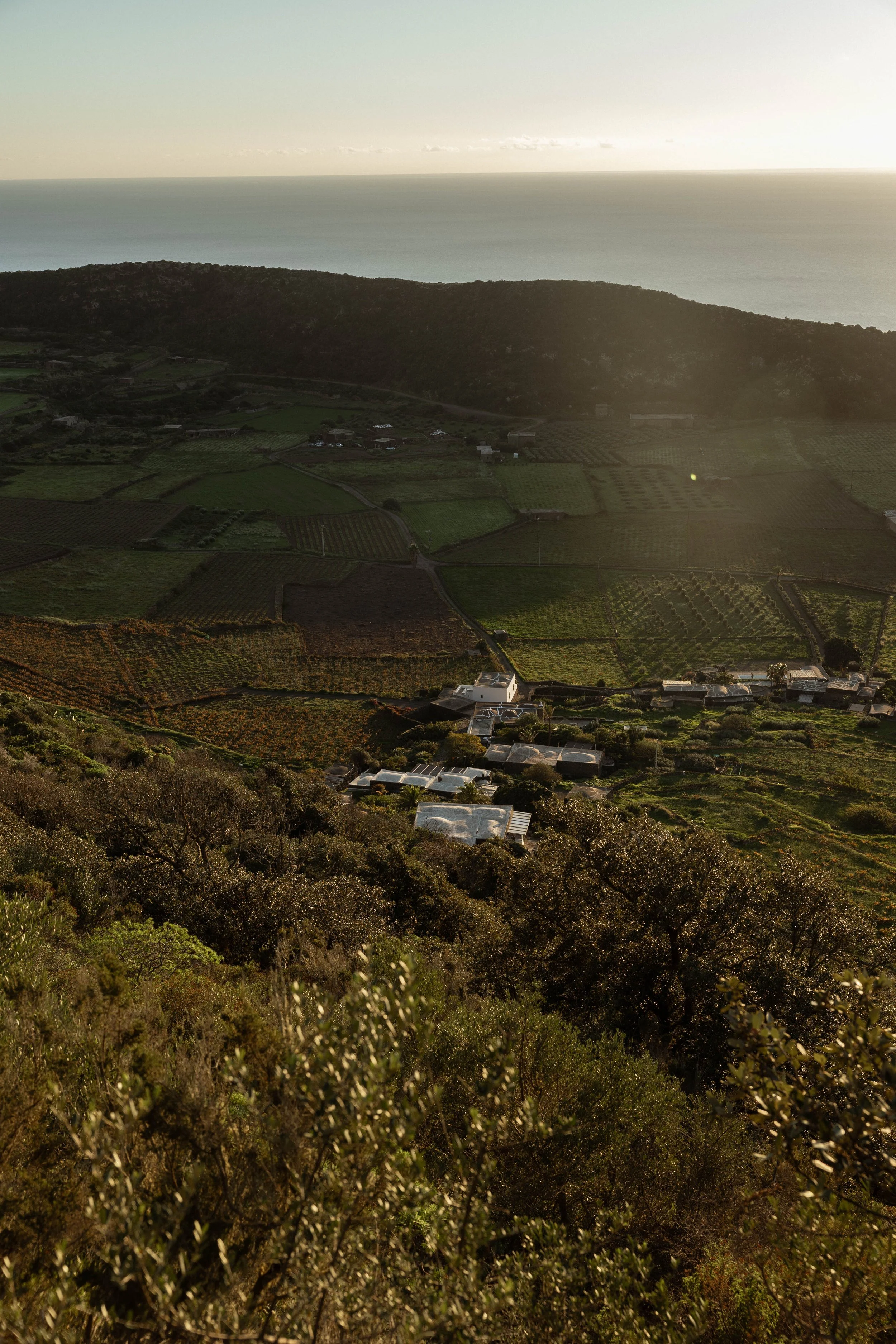 Aerial view of Pantelleria agricultural fields, a vulcanic hillside, and the Mediterranean in the distance at sunset.