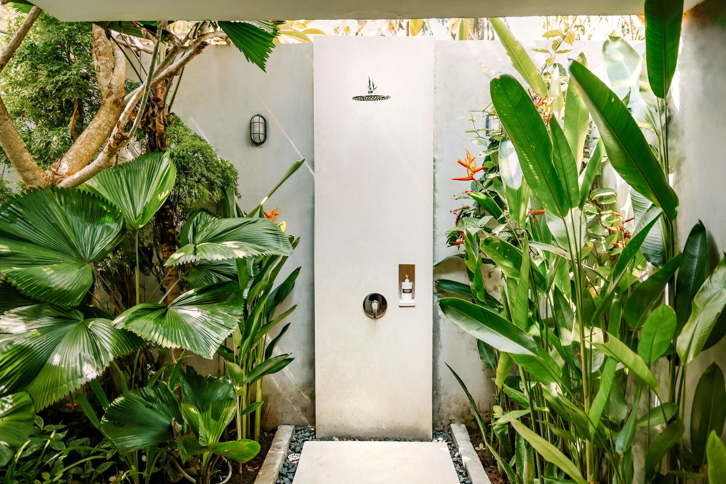 An outdoor shower surrounded by lush green tropical plants, including large fan-shaped leaves and banana trees, with a white wall at the back and a concrete walkway.