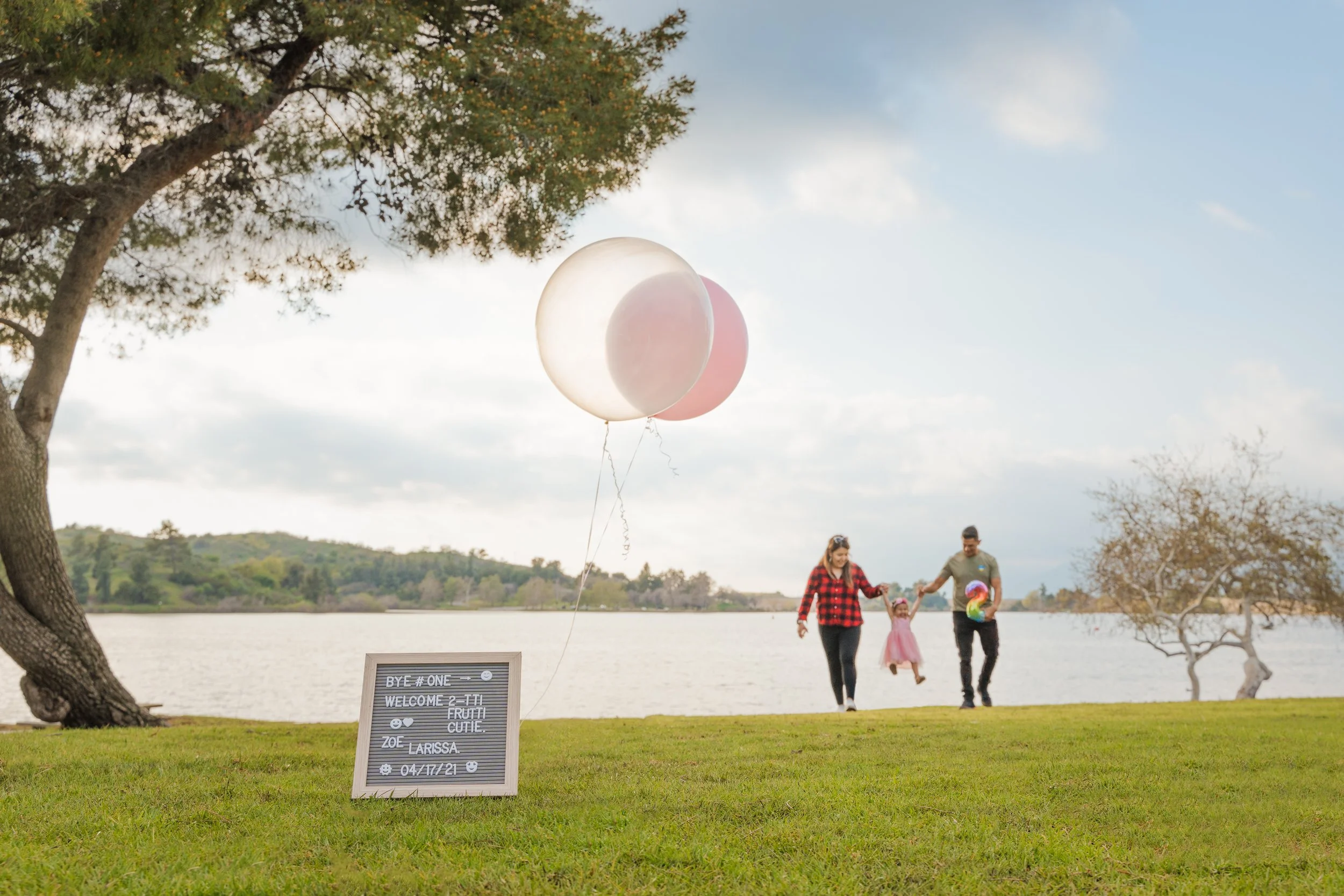 A family walking along a beach near a lake, carrying balloons, with a tree in the foreground and a sign on the grass that reads: 'BYE #ONE, WELCOME 2 T1, FRUIT, CUTE, ZOF, LARISSA, 04/17/21'.