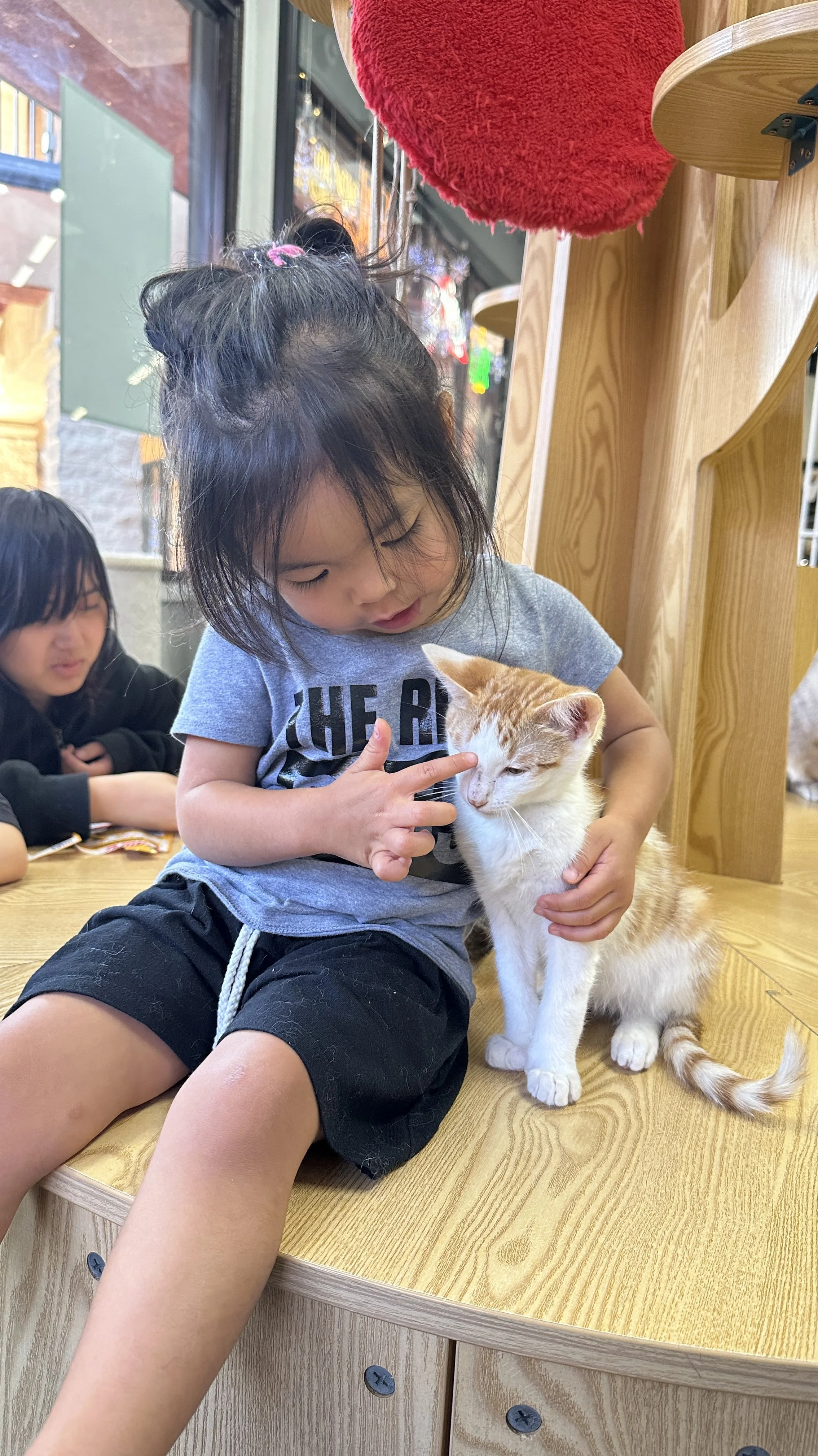 A young girl with black hair tied up with a pink hairband, sitting on the floor, gently touching a ginger and white cat on a wooden table. Another girl with glasses and black hair is sitting nearby in the background.