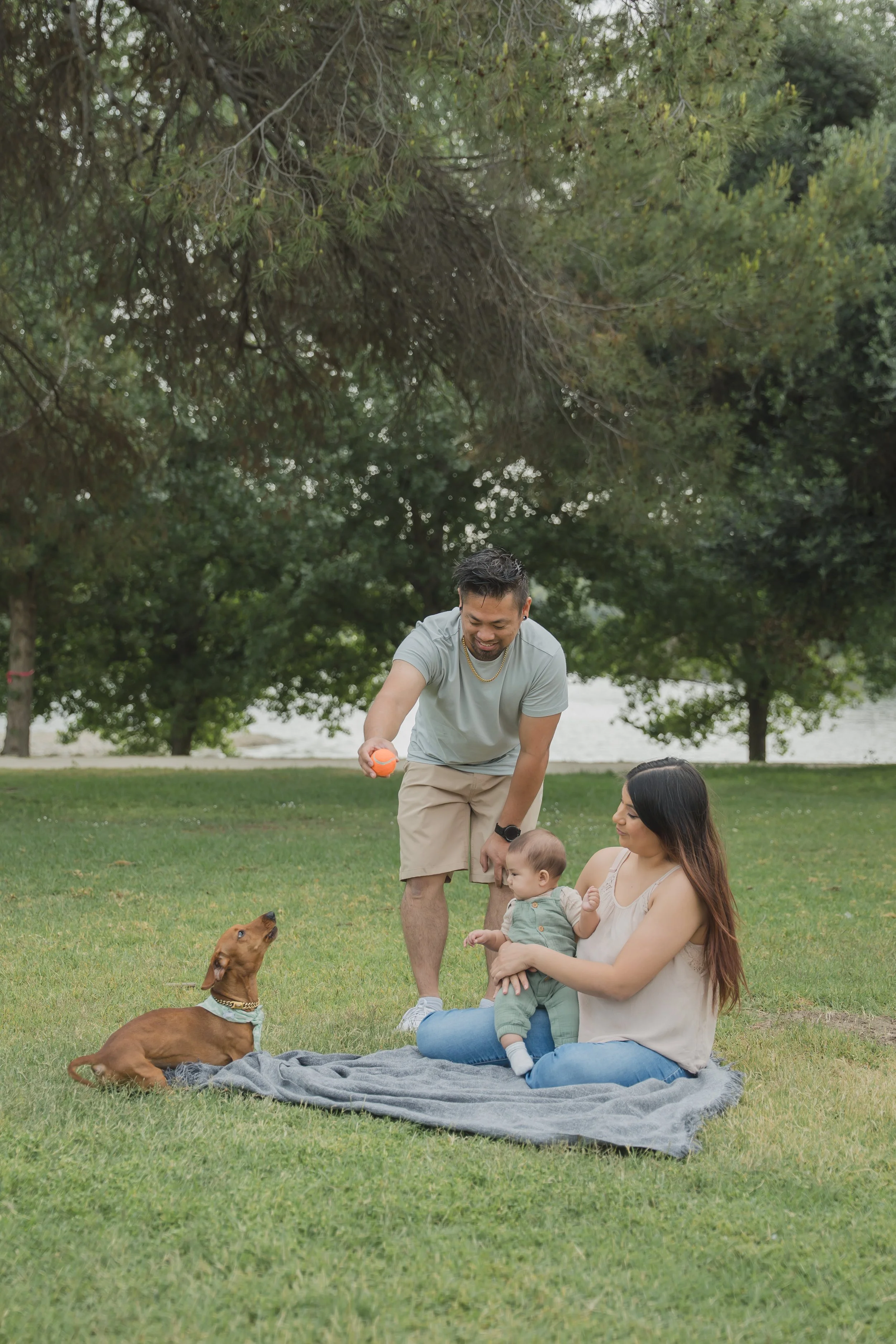 A family of four with a dog sitting on a blanket in a park with green grass and trees. The father is standing and holding a ball, smiling. The mother is sitting on the blanket holding their young child. The dog, a brown one, is sitting and looking up