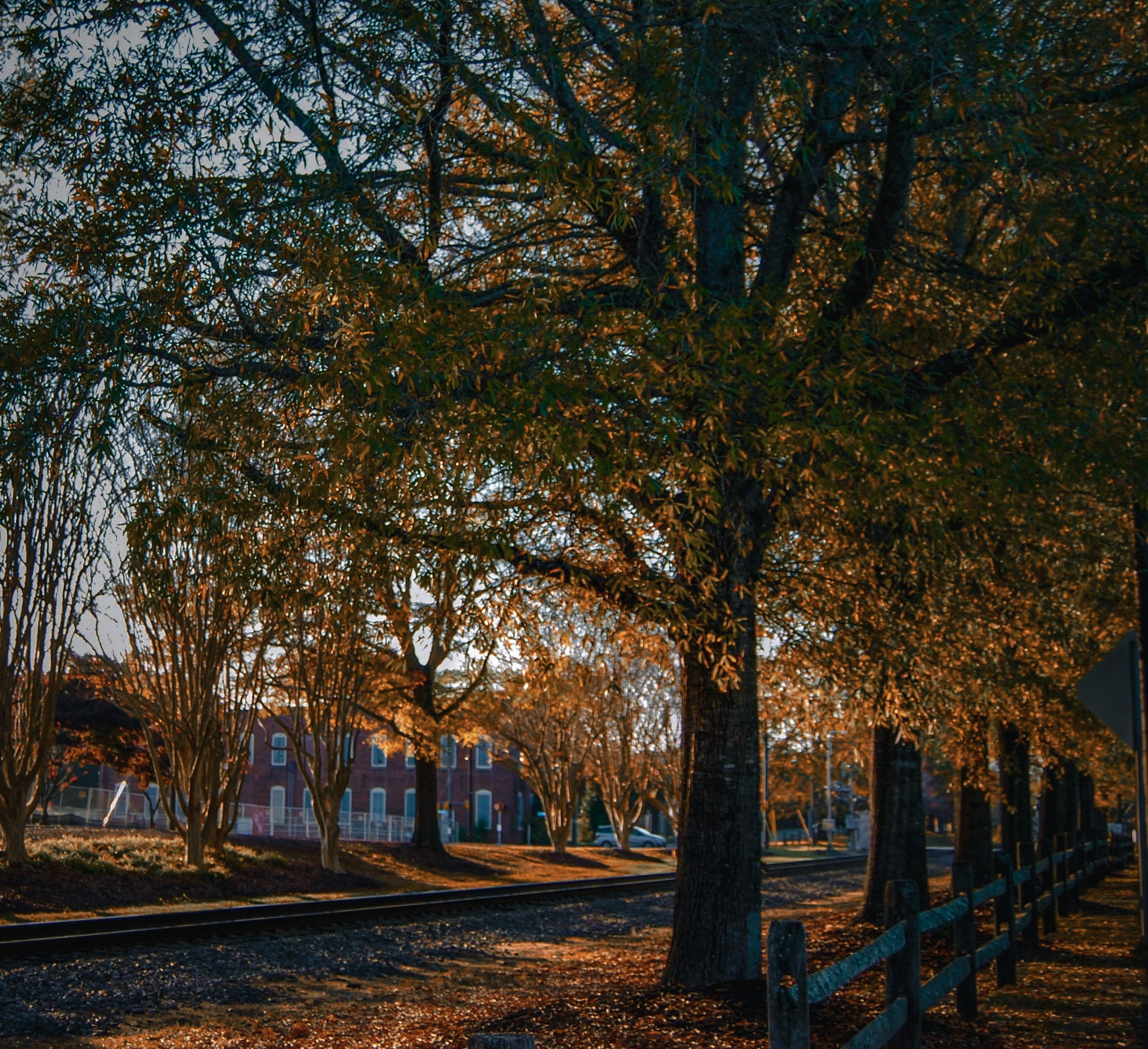 DSC_0291.jpg