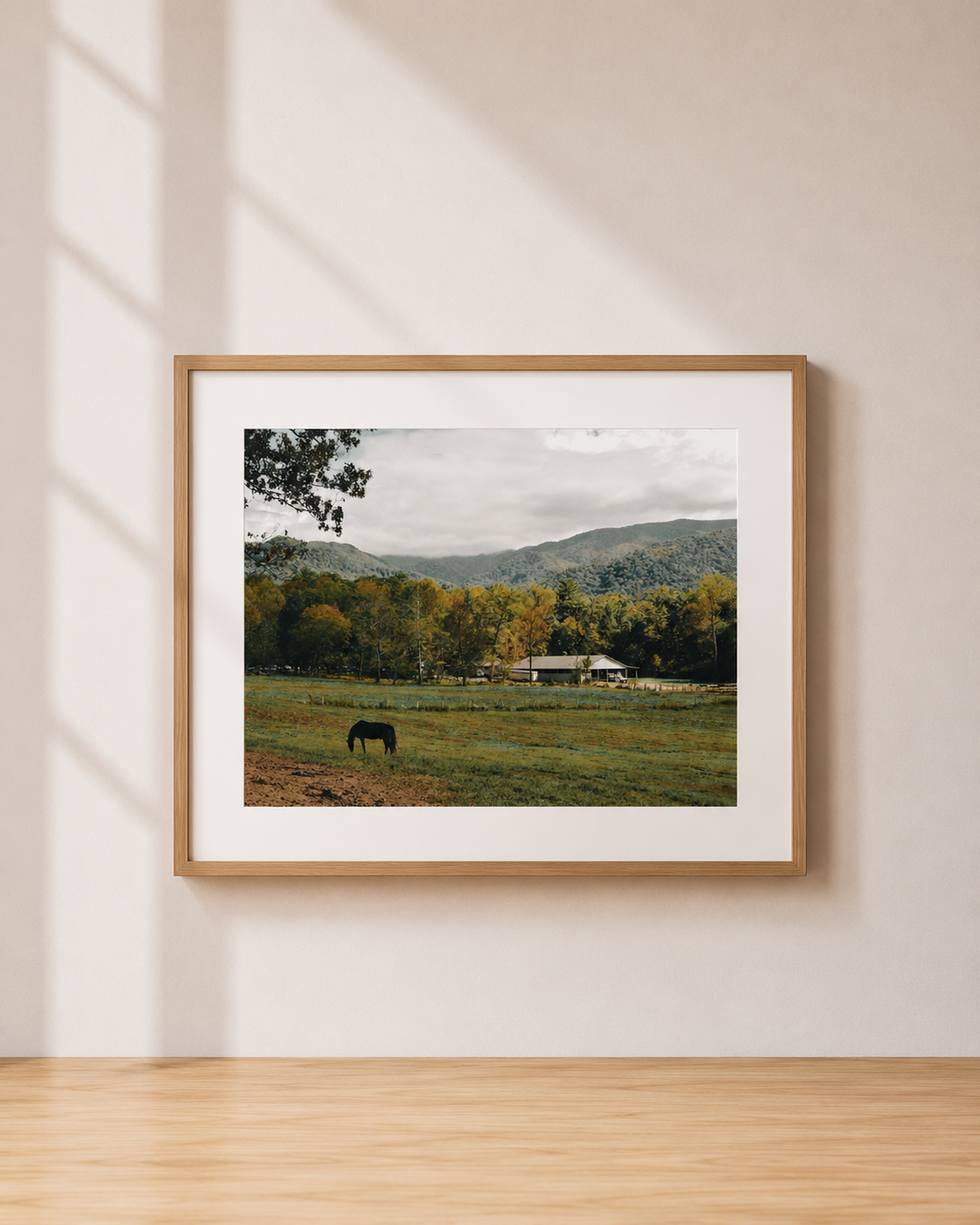 Mountain Pastures