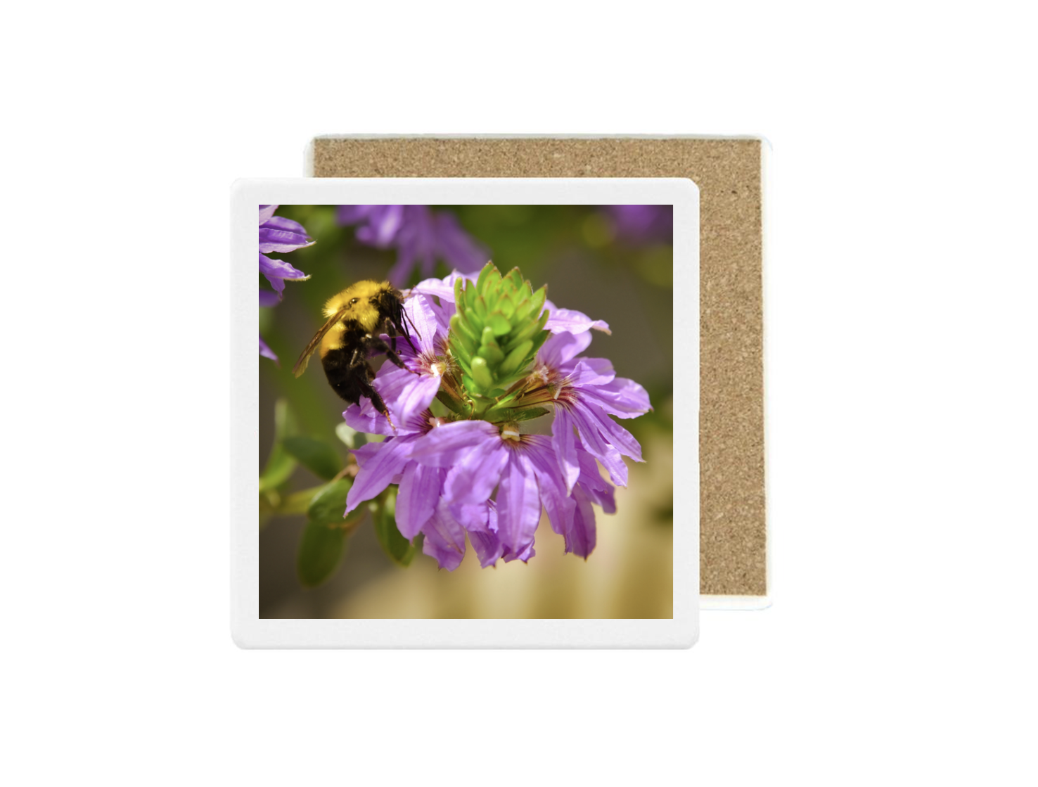Pollinator Matching Set (Set of 4)