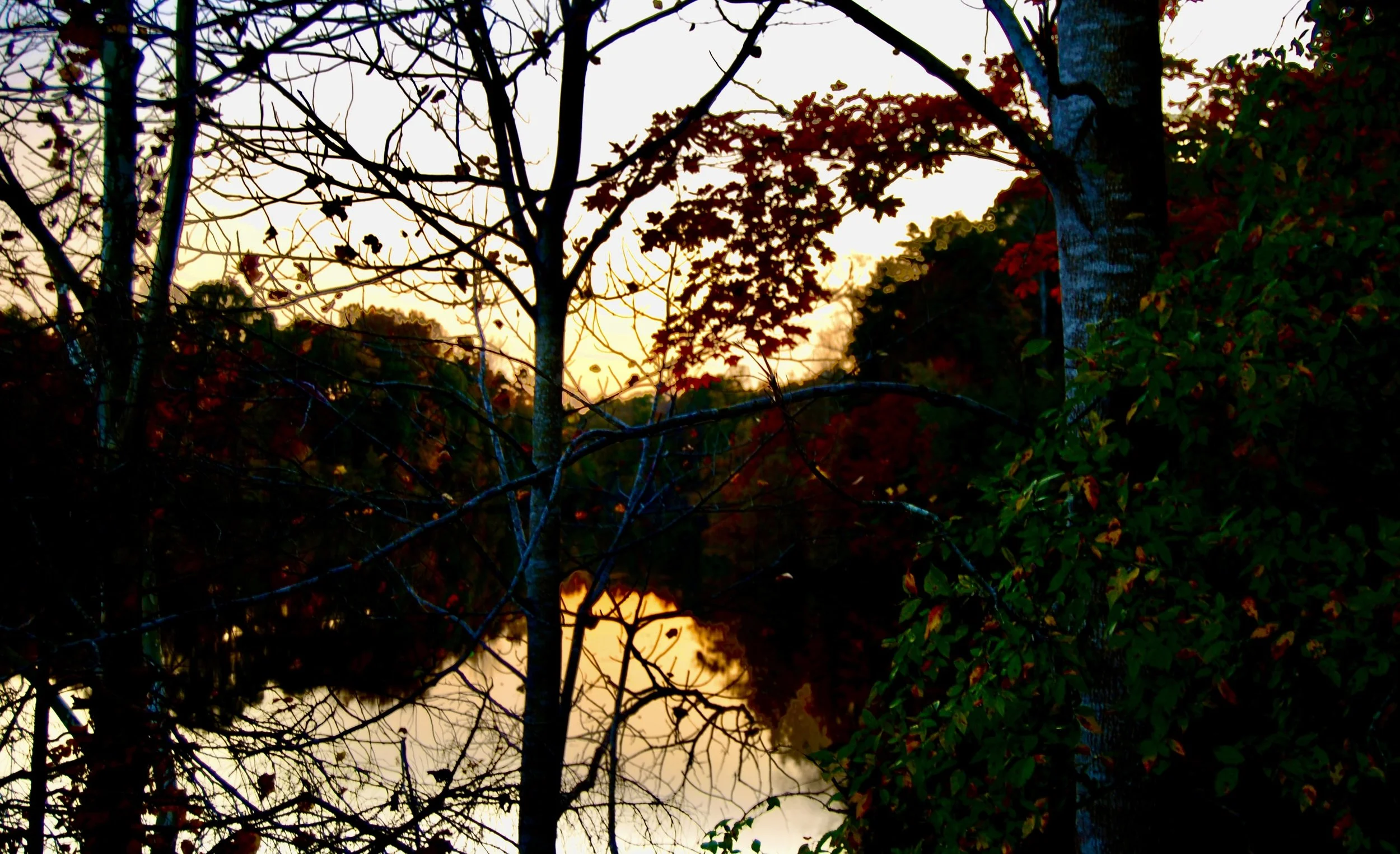 DSC_0007.JPEG