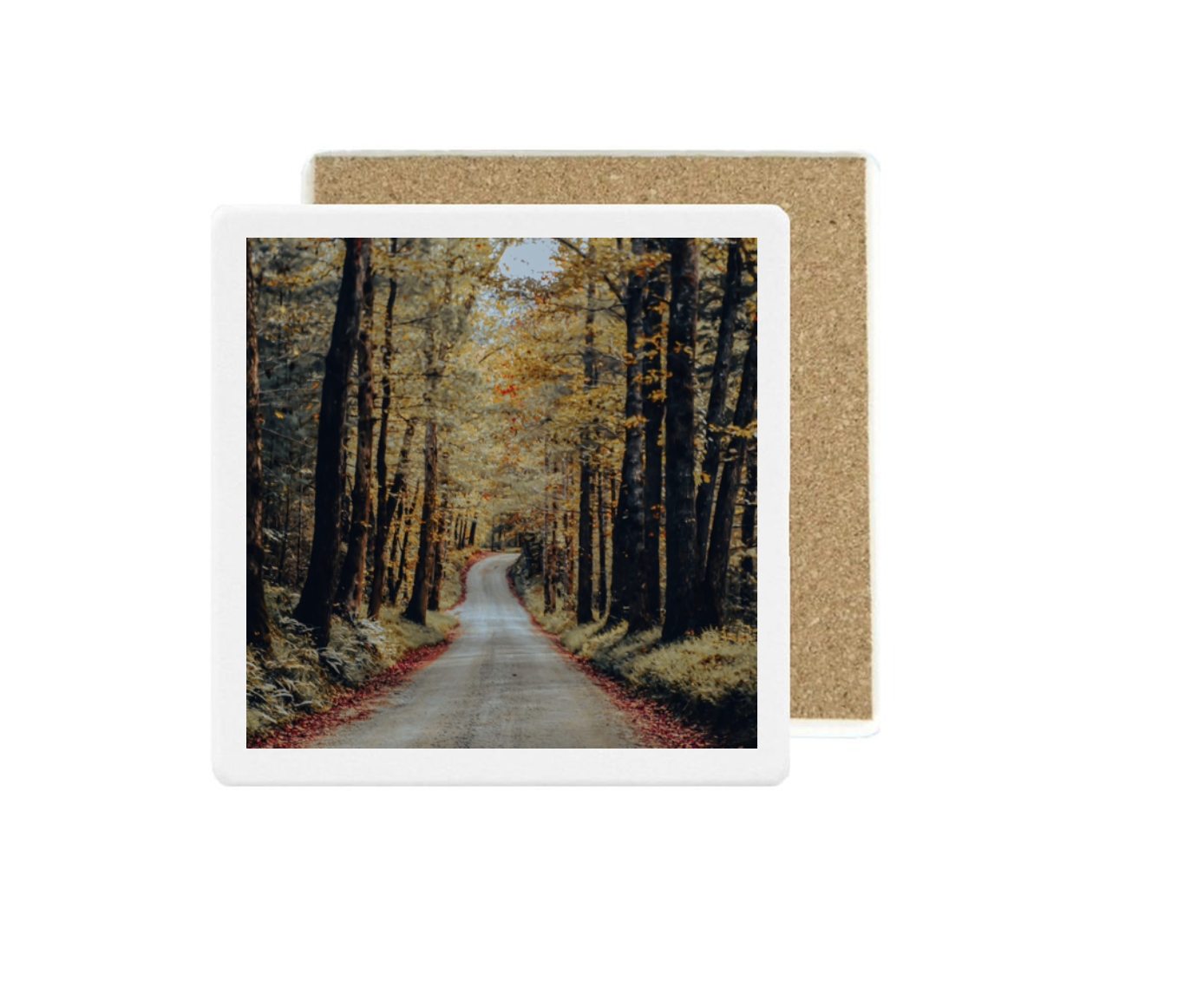 image (18).png