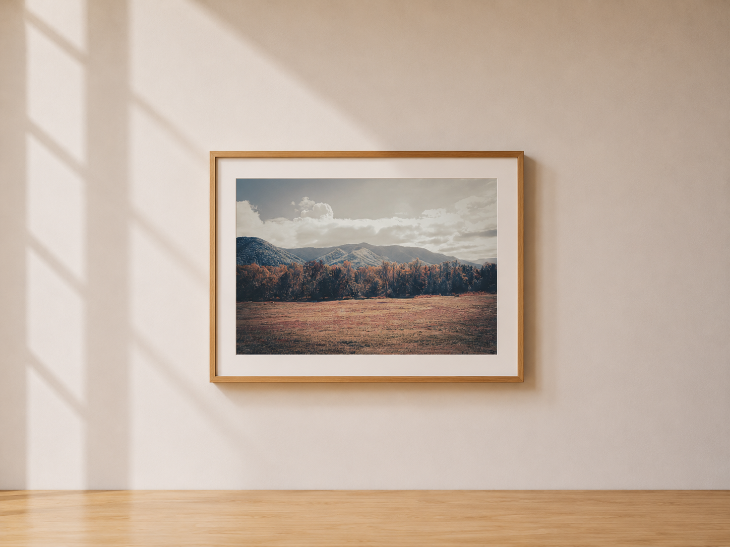 Mountain Meadow