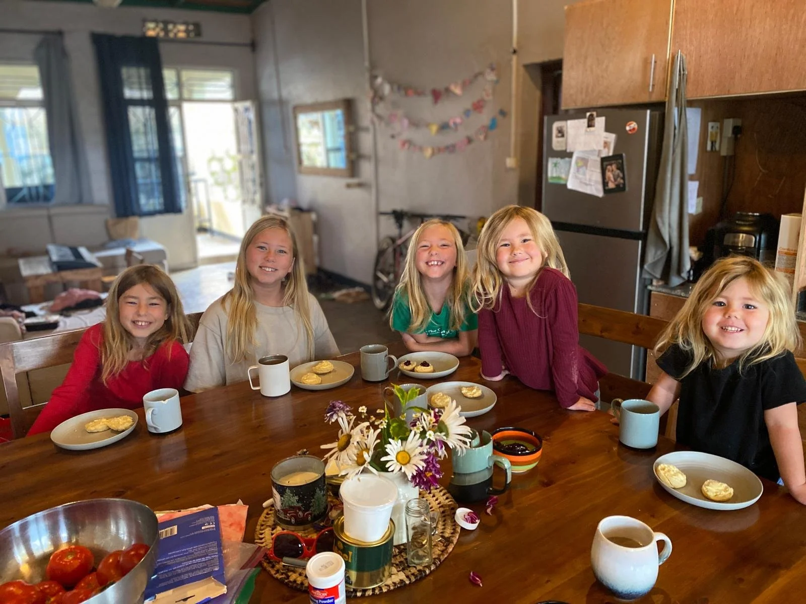 Ostrander Family Update: 2024-2025