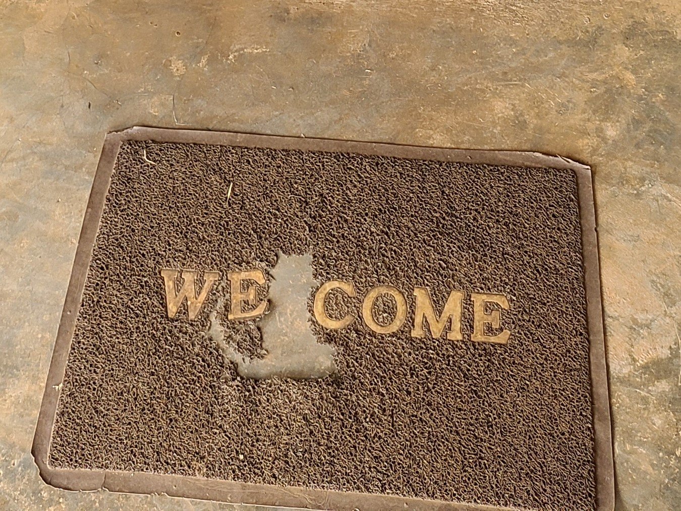Photo 7.jpg