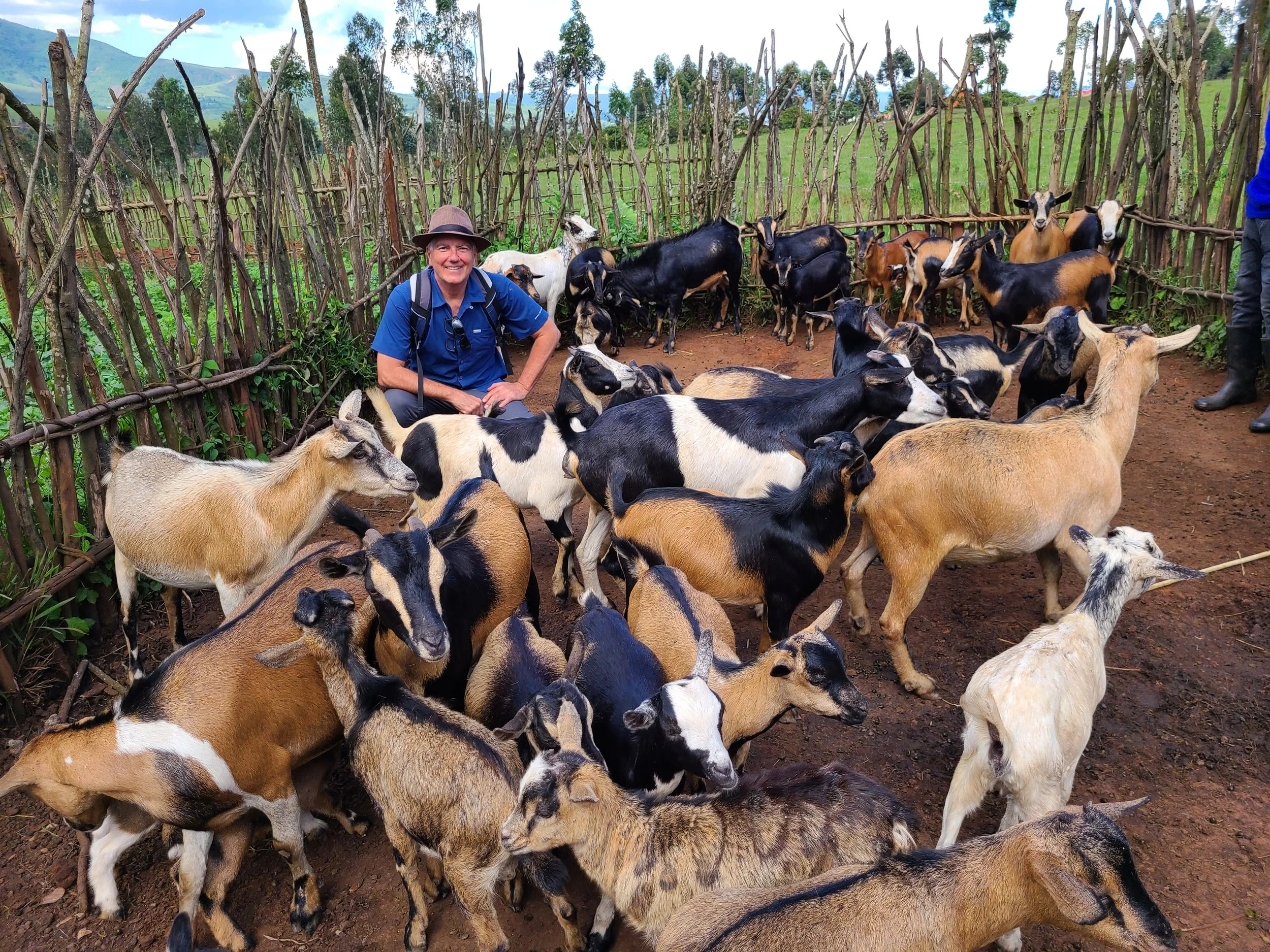 01 Goats.jpg