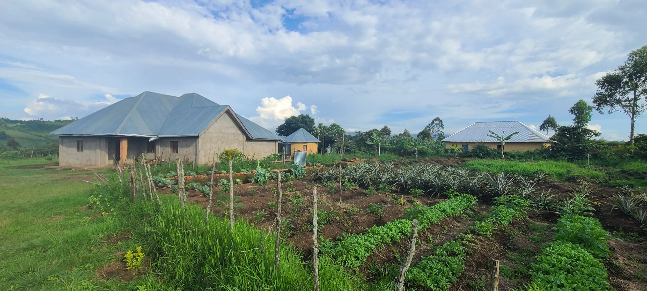 10 Home and Gardens 1.jpg