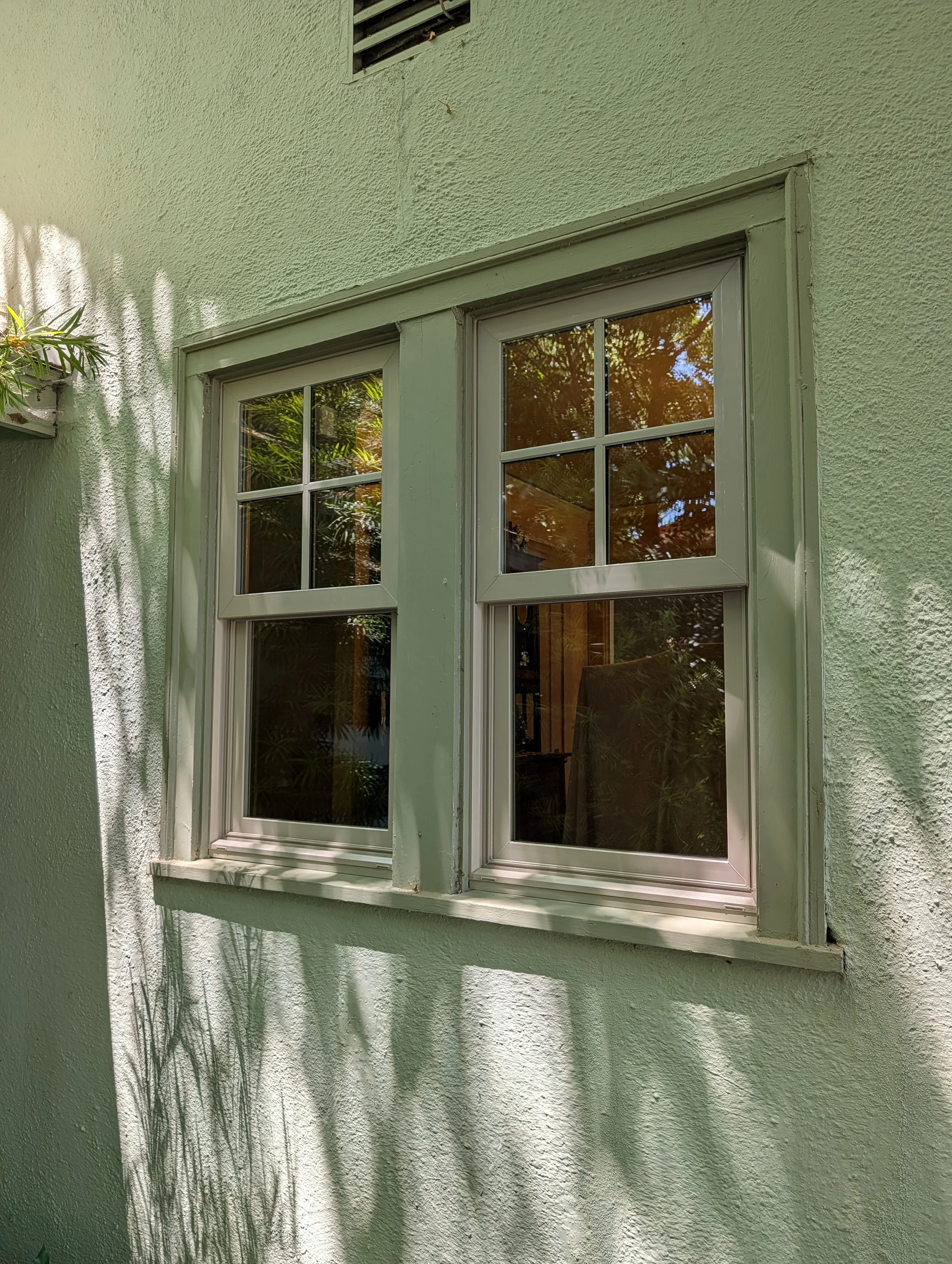 Photo of a light green exterior wall with two adjacent white-framed windows, reflecting trees and sky, and a small plant shadow on the wall.