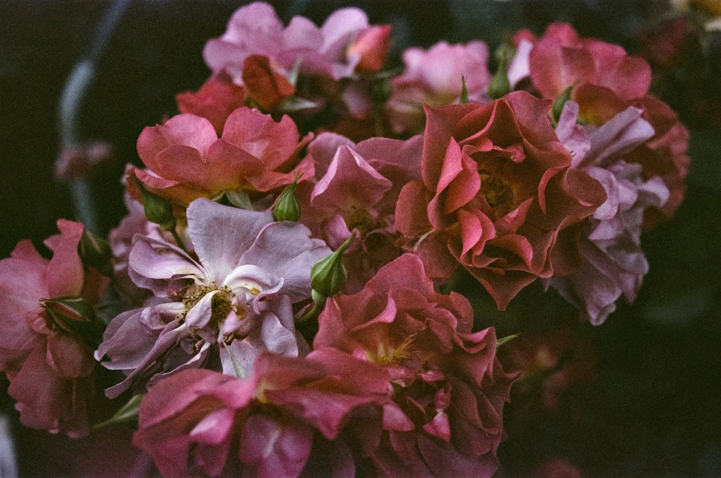 love-57.jpg